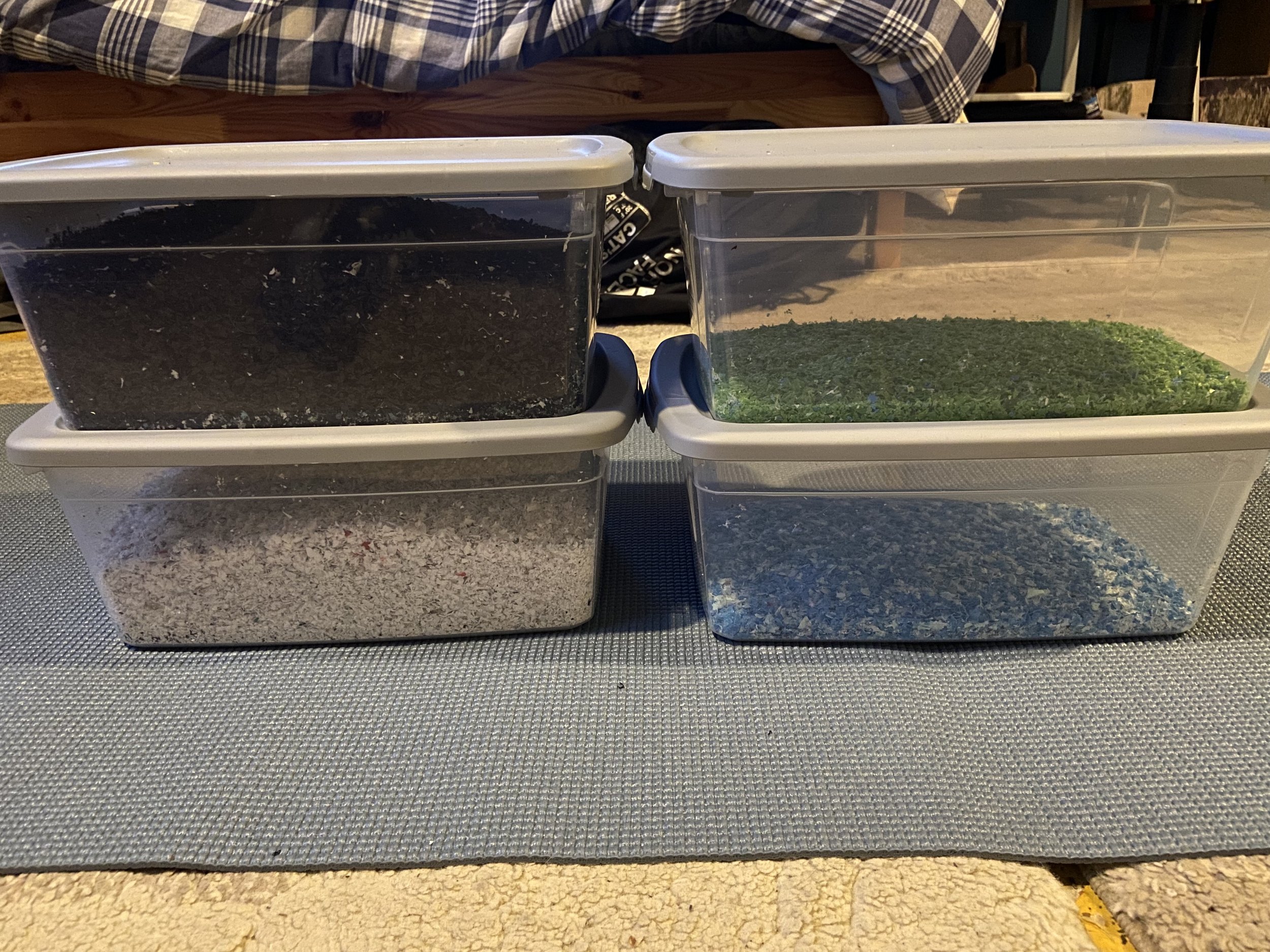 sorted, shredded plastic
