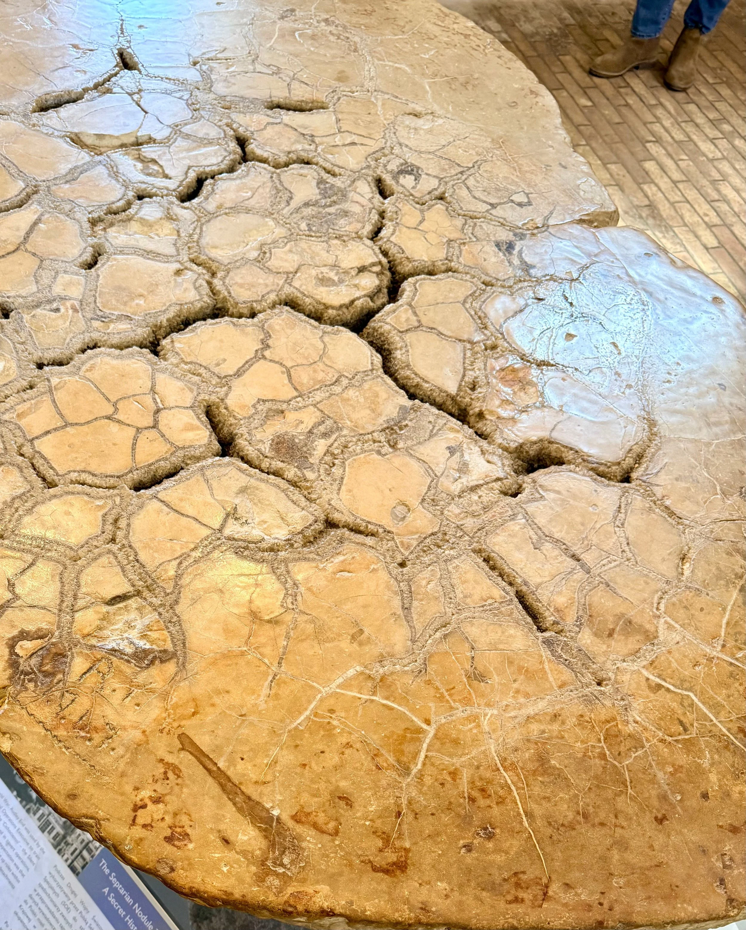 The Stone Table