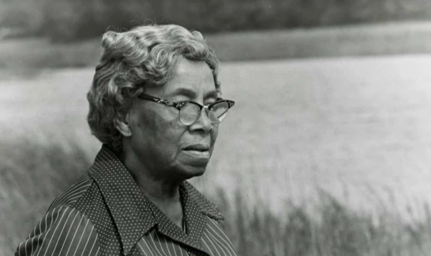 The Woman Who Built an Army Out of Paper (Septima Clark, USA)