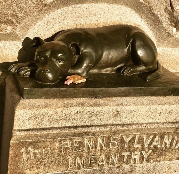 Sallie Ann Jarrett: Hero of Gettysburg