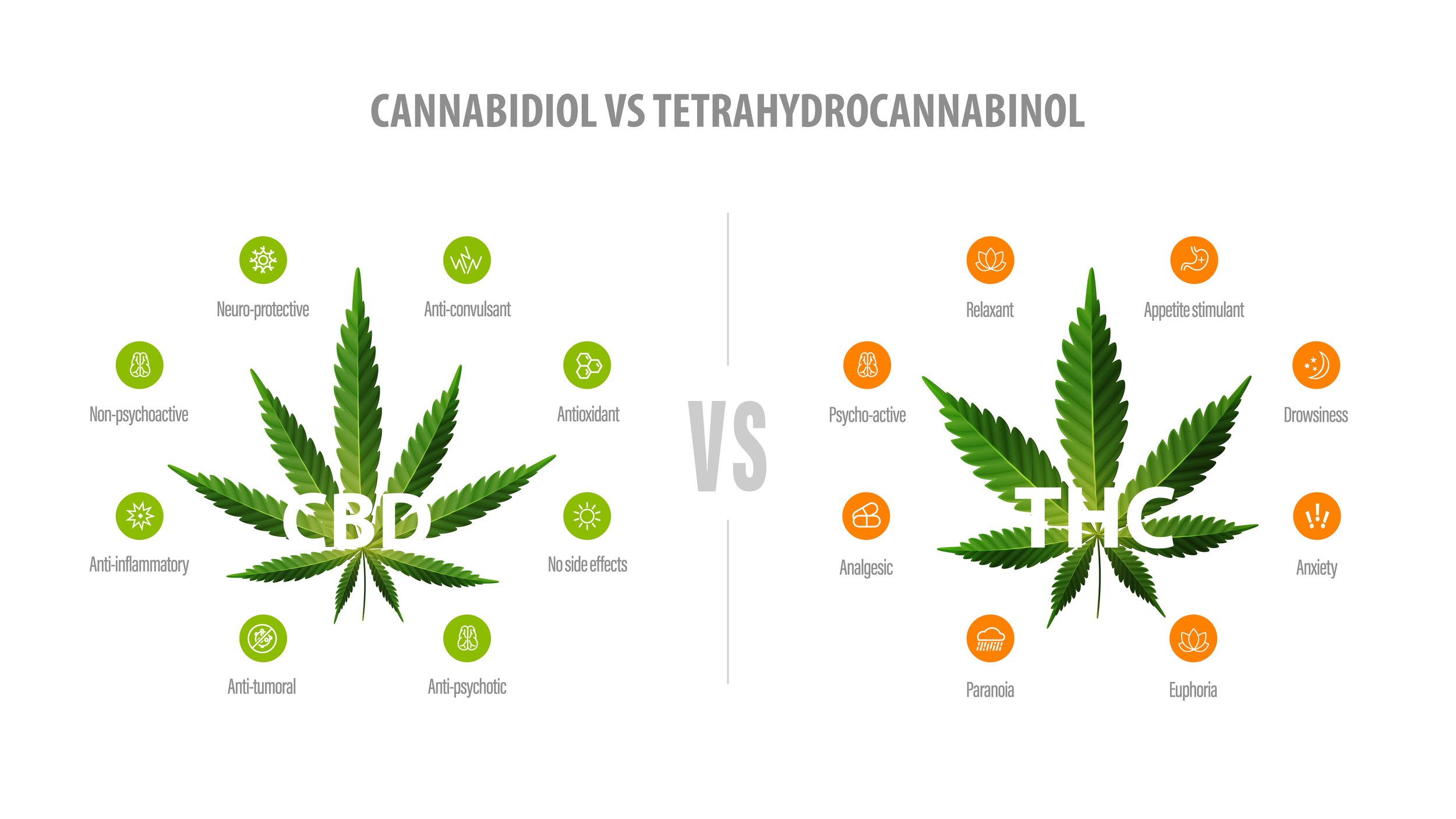 CBD oil versus THC comparison chart