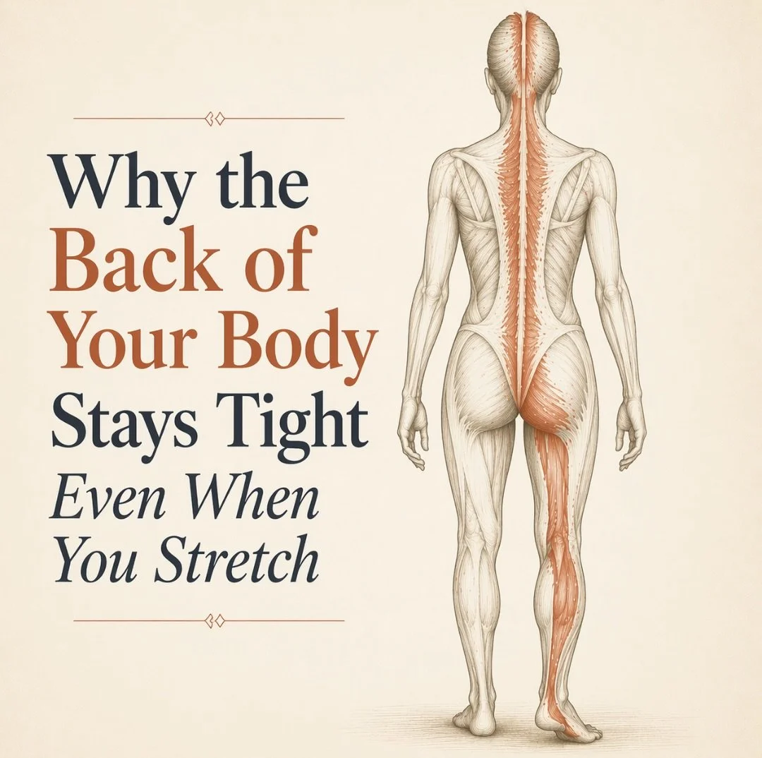Why the Back of Your Body Stays Tight Even When You Stretch