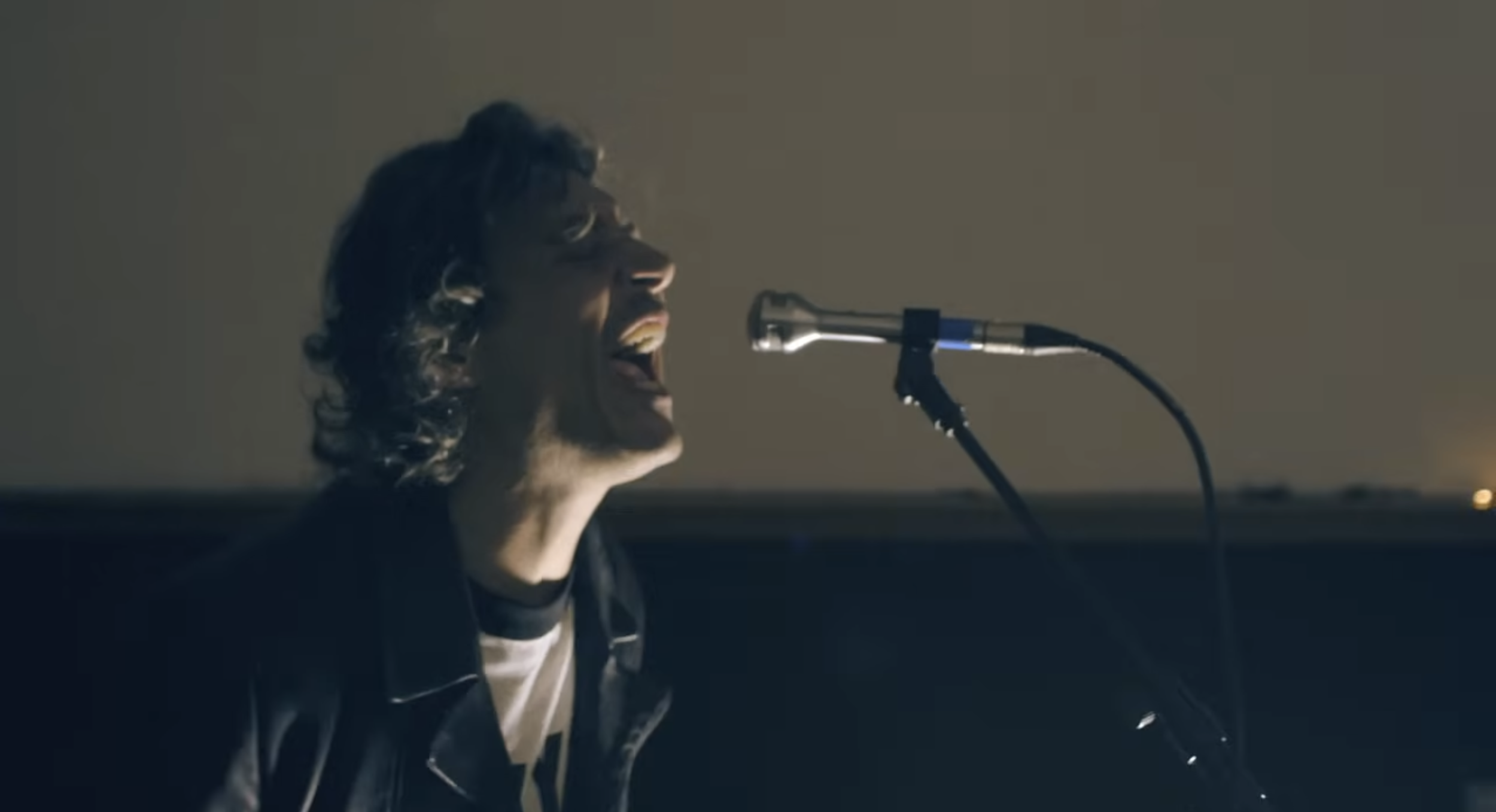 Ligabue3.png