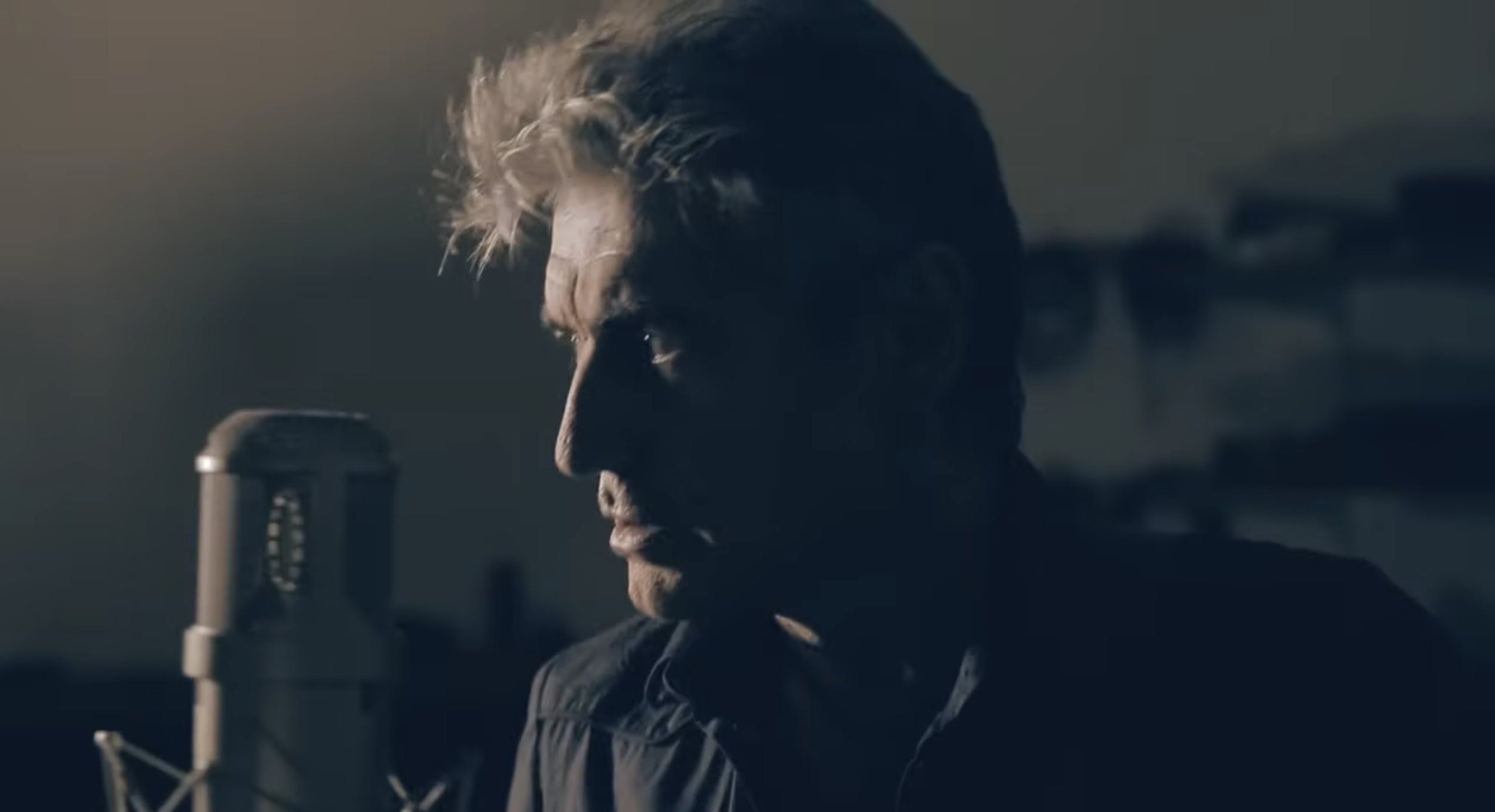 Ligabue2-2.png