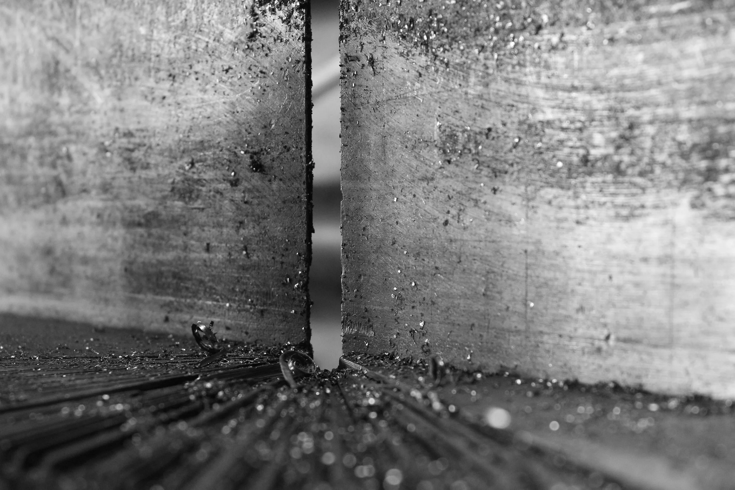 _MG_0221.JPG