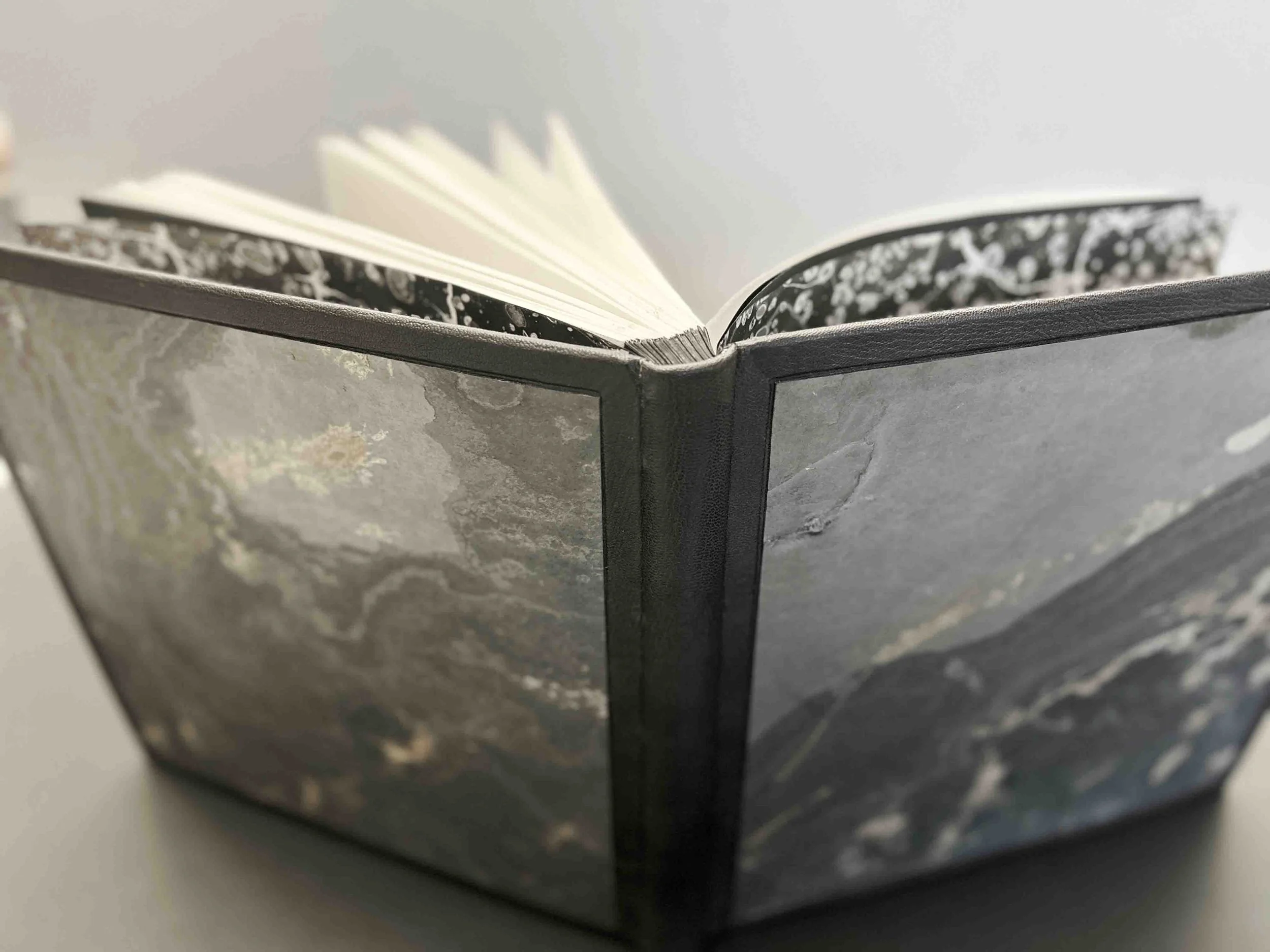 Hidden Beauty - The Book