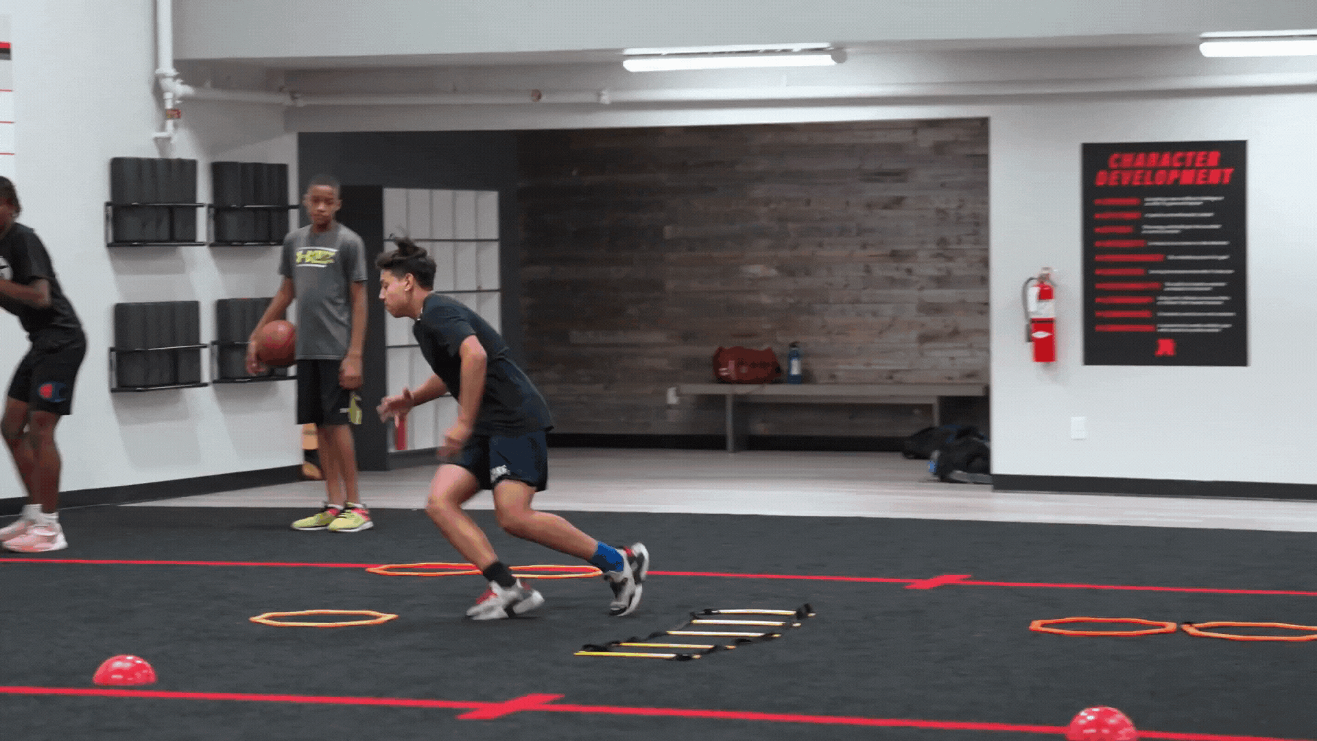 ezgif.com-optimize (1).gif