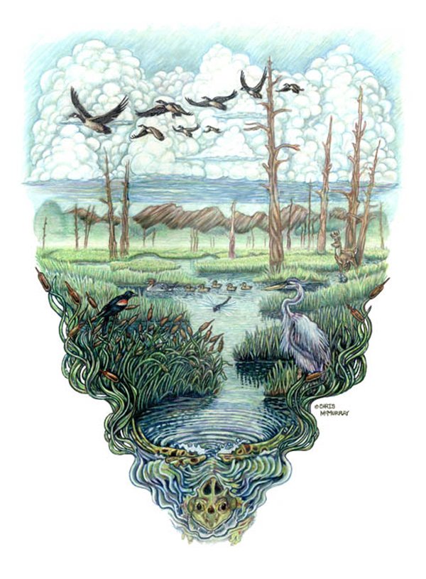 1994_wetlands.jpg