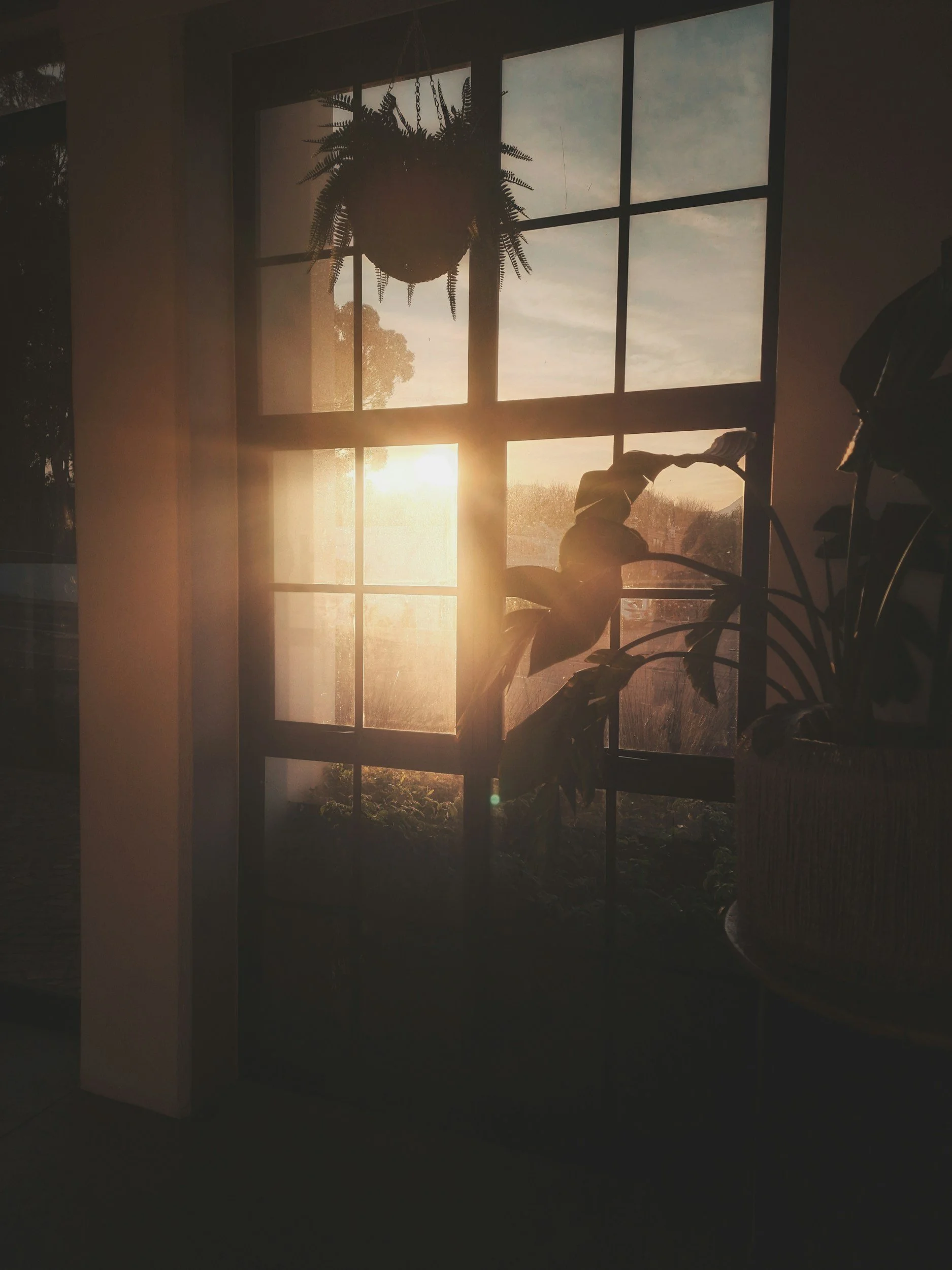 Morning sunlight glowing through a window with houseplants, depression therapy in NYC