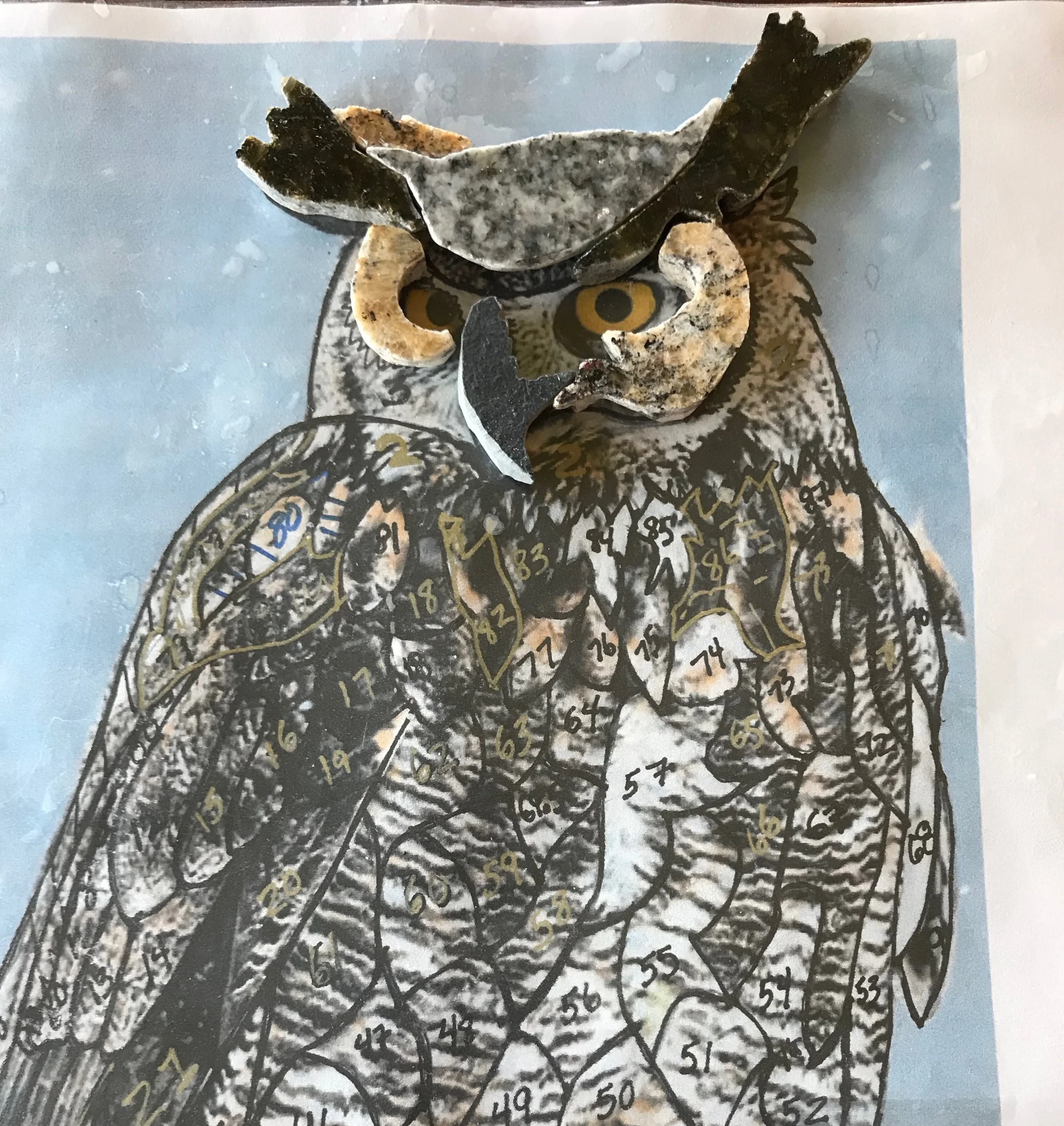 Fitting cut pieces to owl's template