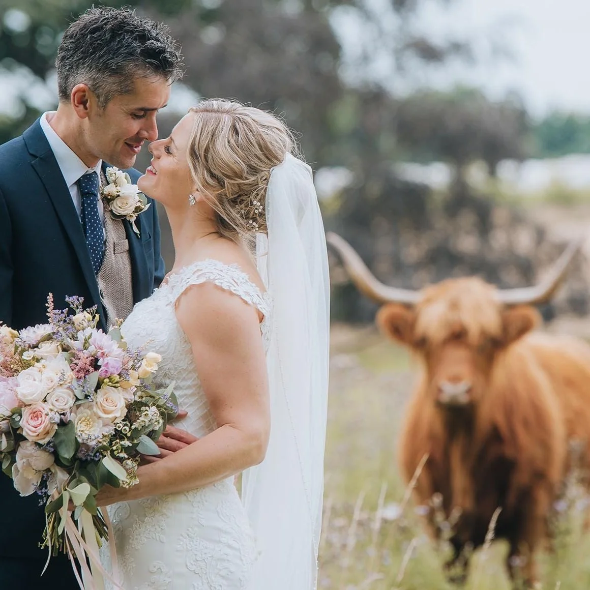A bride and groom are standing close together on their wedding day outdoors, with a Highland cow in the background. The bride is holding a bouquet of flowers, and the couple is smiling at each other.