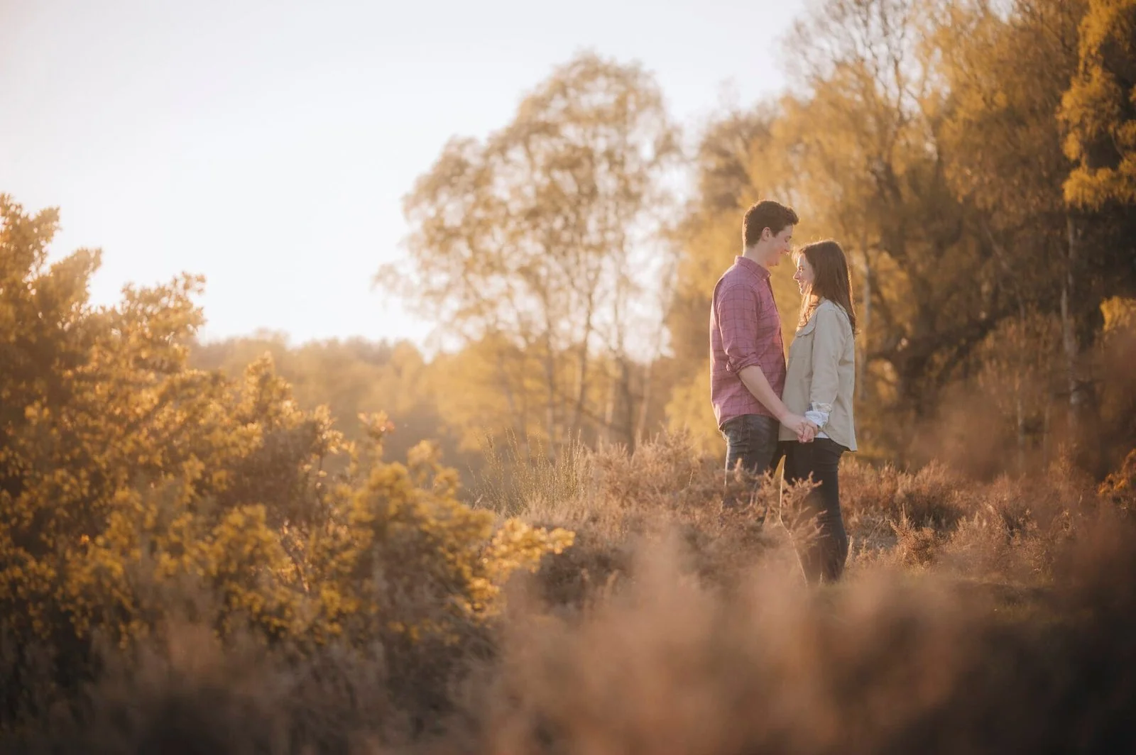 sunset photo at clumber park of a couple holding hands on their pre-wedding photoshoot