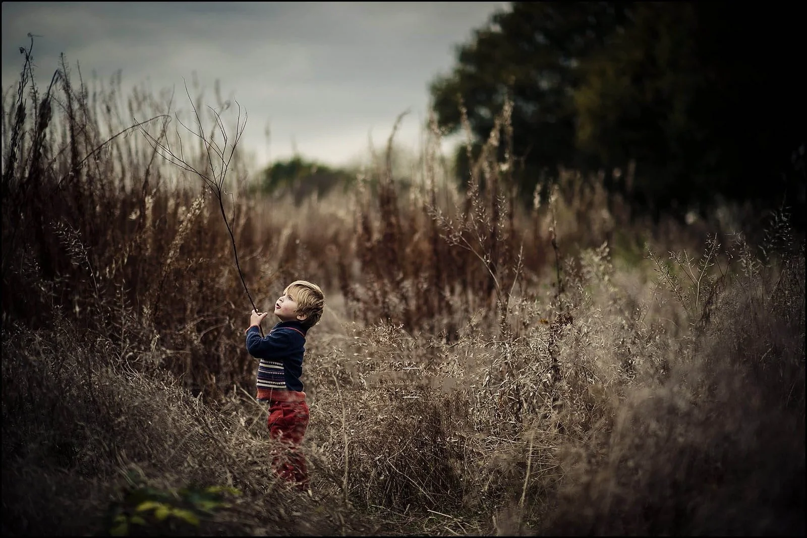 Young child standing in a field of dry grass, holding a branch and looking upward, with an overcast sky and trees in the background.