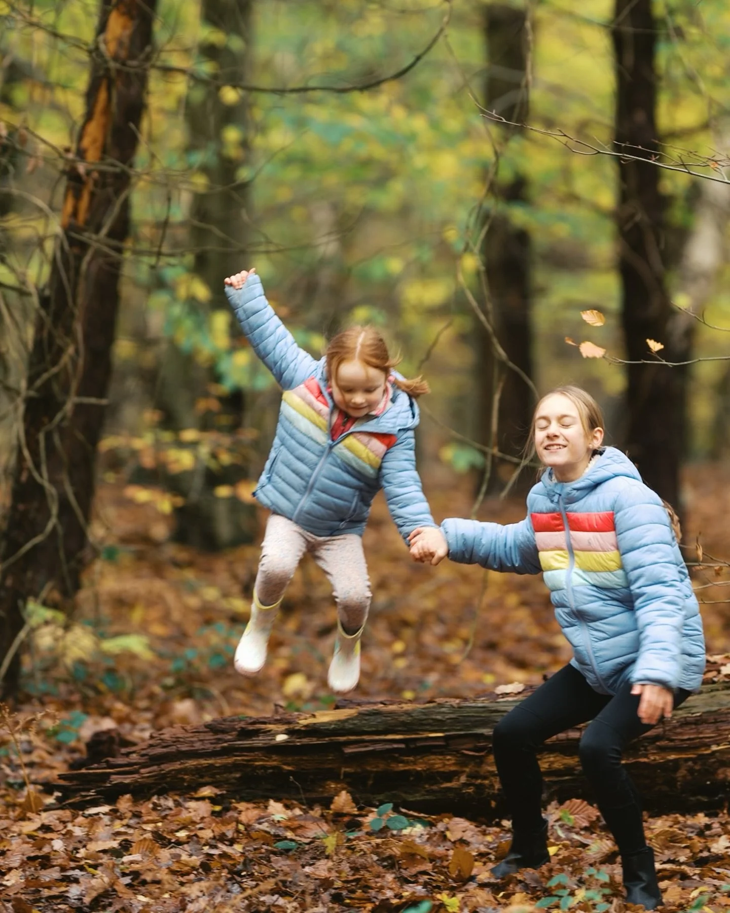 A lovely stroll through the beautiful woods with Harriet, Beatrix and Hudson 🐶 ( + mum and dad of course!)
.
.
.
.
.
.
.#yorkshirephotographer #autumnminisessions #yorkshirefamilyphotographer #autumn🍁 #vizlasofinstagram