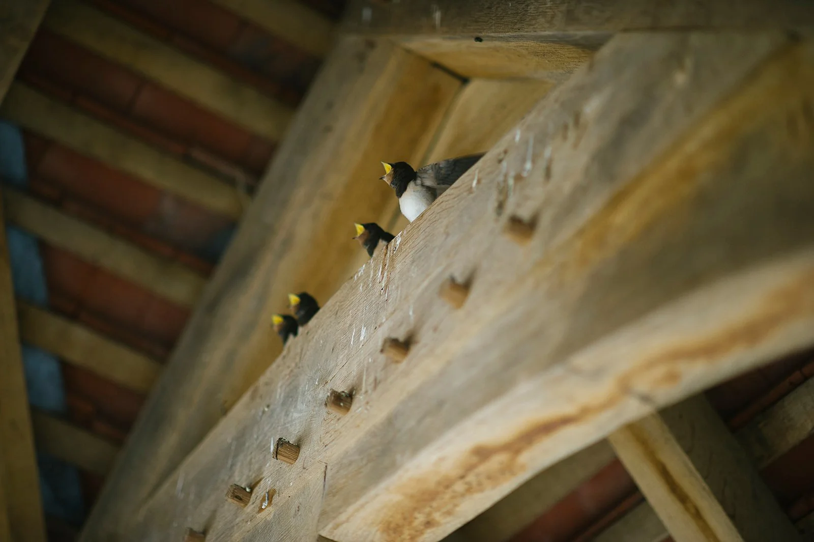 Hornington manor wedding photographer 049.jpg