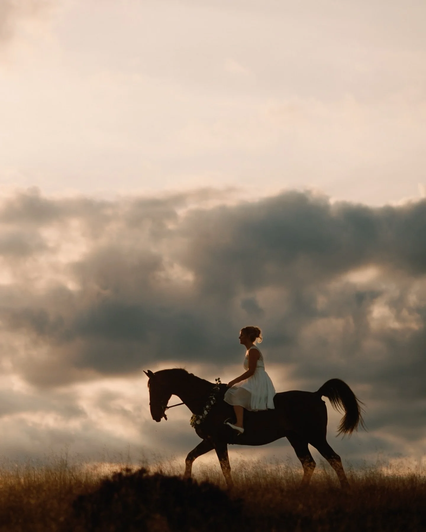 Last week I talked about having your lovely dogs at weddings, well I&rsquo;ve also captured some amazingly beautiful horses at weddings too! Here are a few of my favourites 🐎💕👰&zwj;♂️
.
.
.
.
.

#brideandhorse #horseloversofinstagram #yorkshirewed