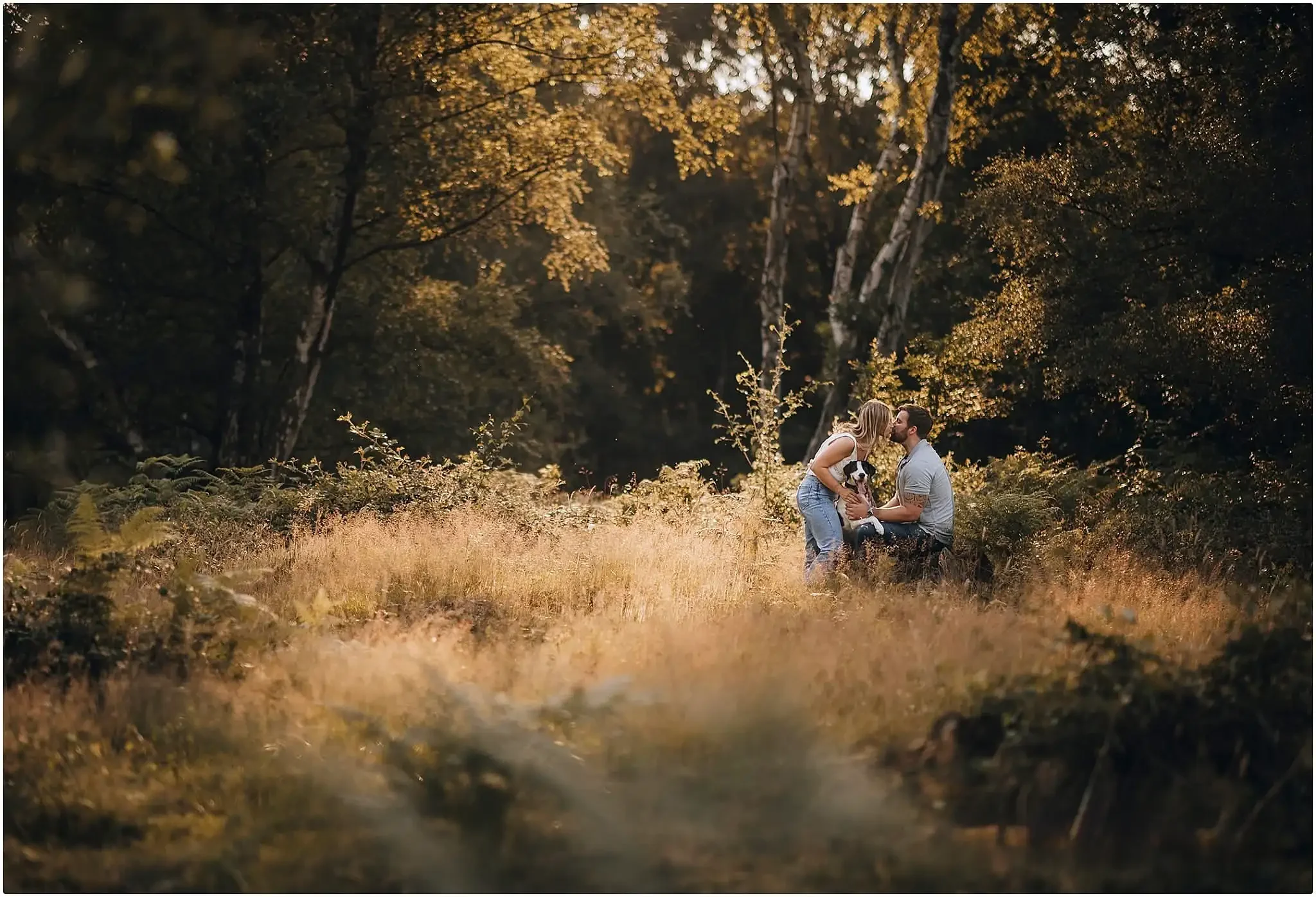 Romantic golden hour photo of a couple kissing while sitting with their  dog in a field in clumber park on their engagement photoshoot