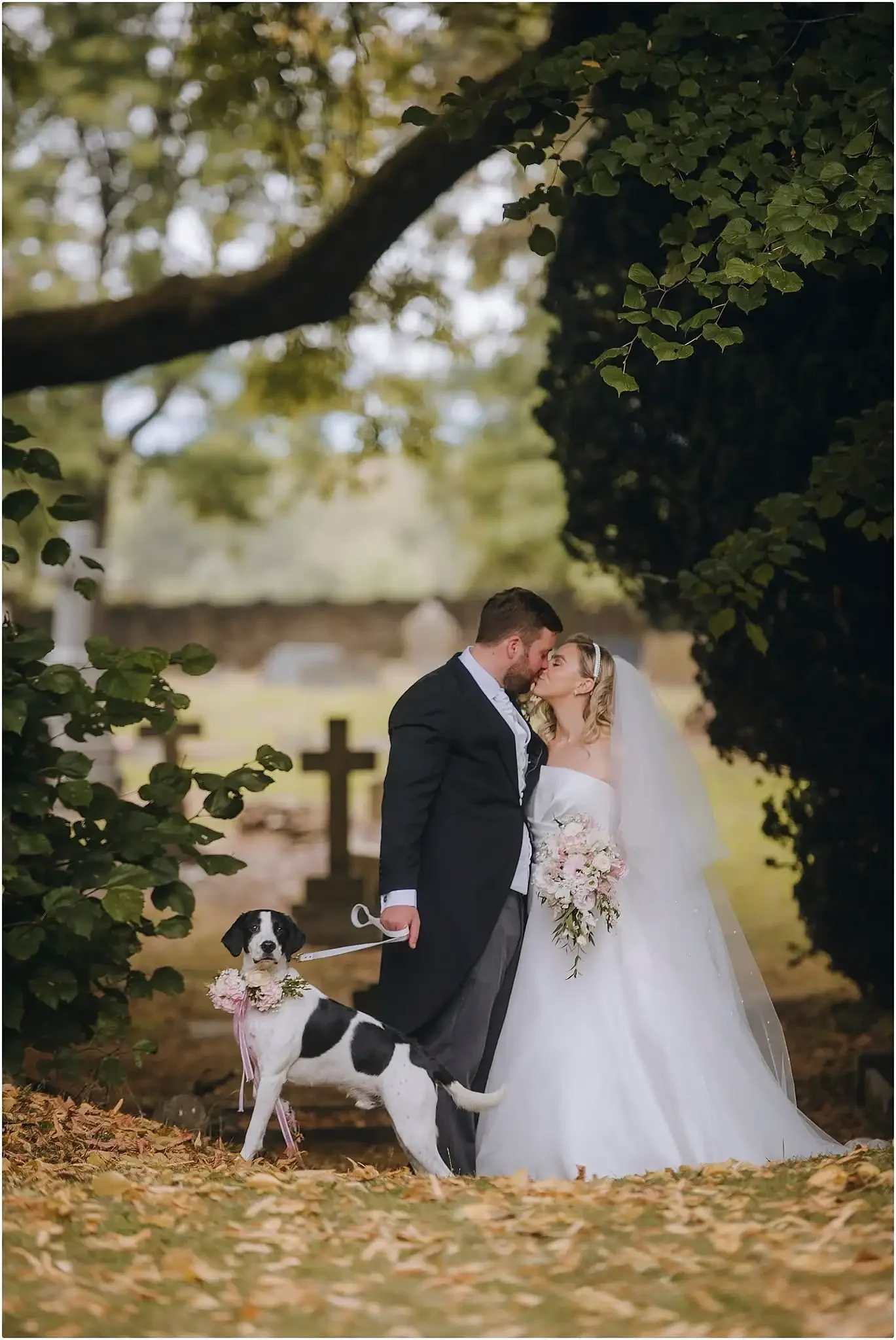 Portrait of a bride and groom kissing, with their Pointer cross dog wearing a beautiful floral collar in the foreground