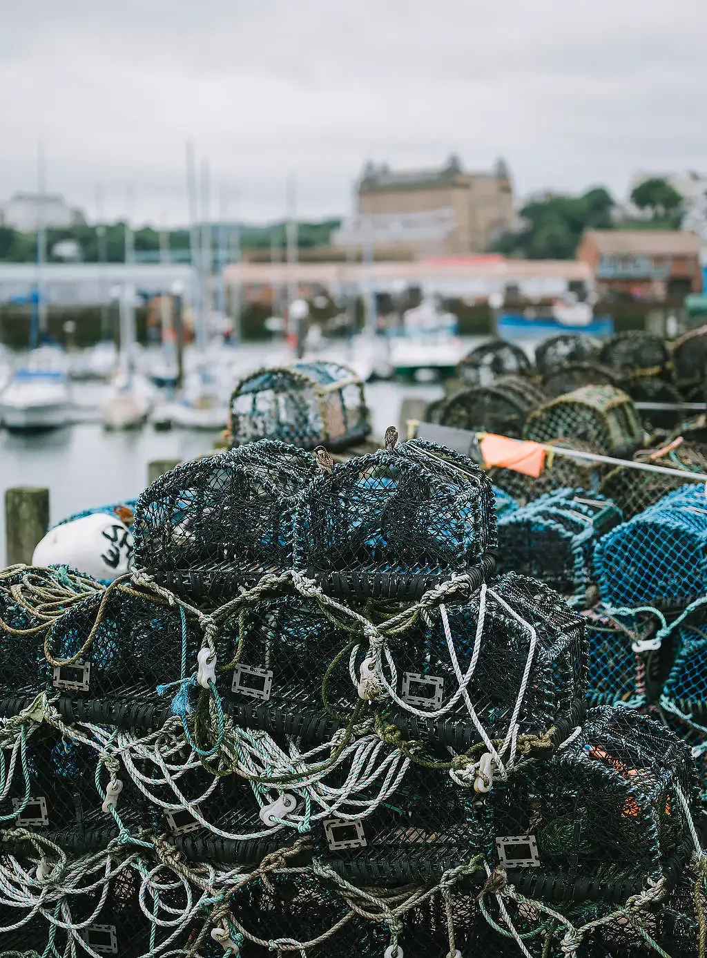 Filey brigg wedding  Eleopment photographer068.webp