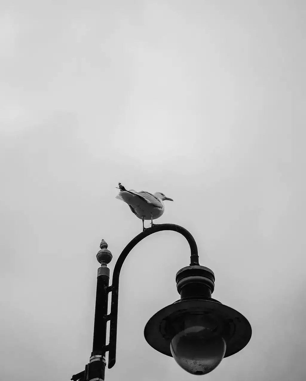 Filey brigg wedding  Eleopment photographer070.webp