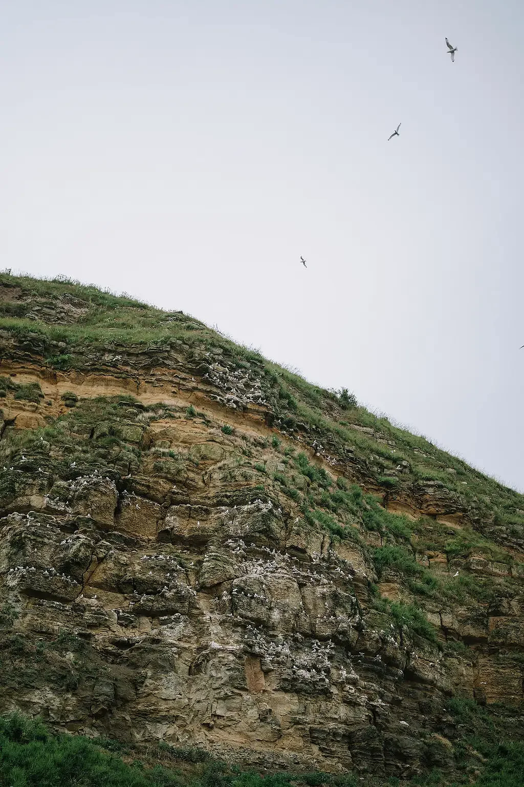 Filey brigg wedding  Eleopment photographer095.webp