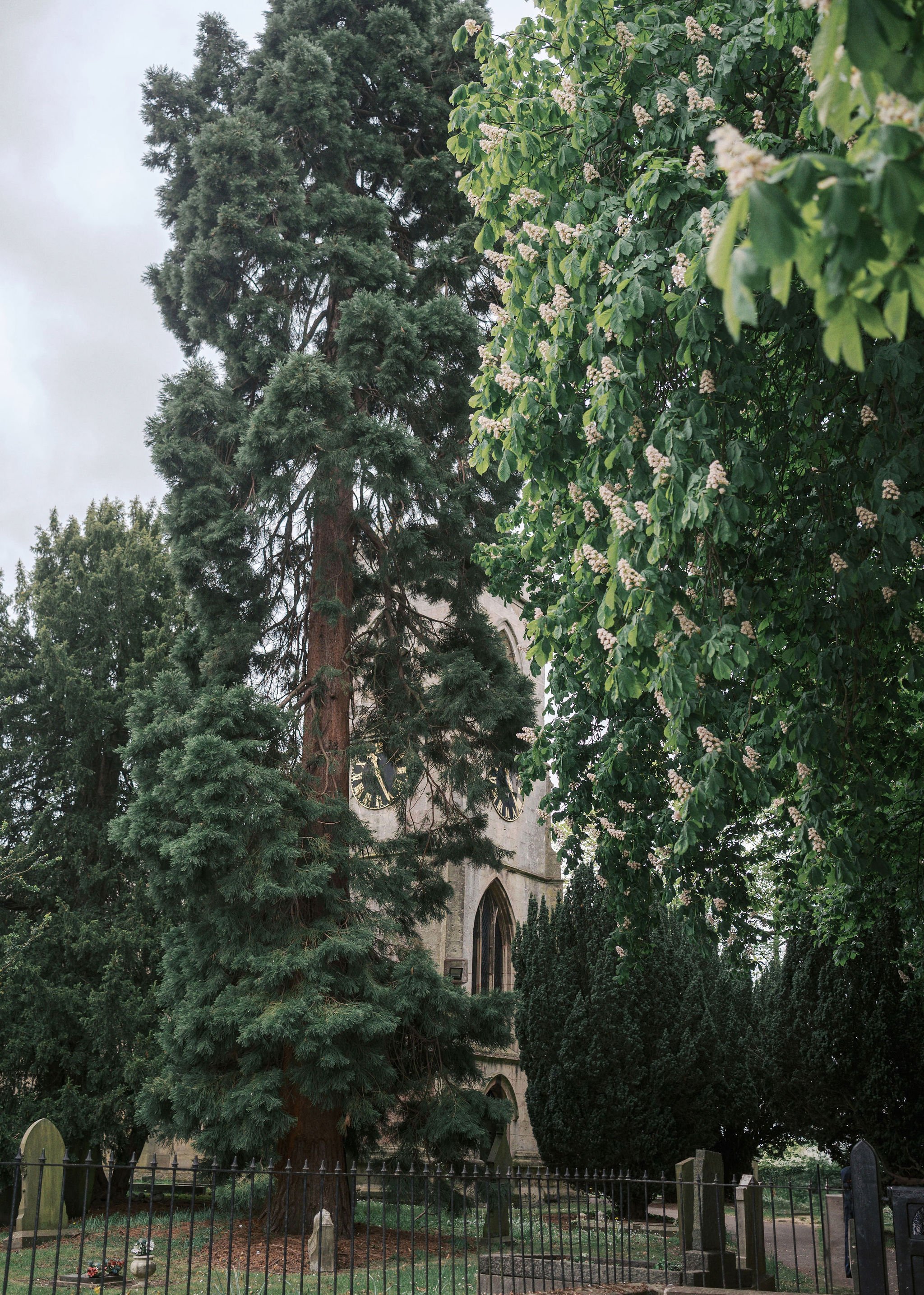 st michaels church wedding photographer Rossington002.jpg