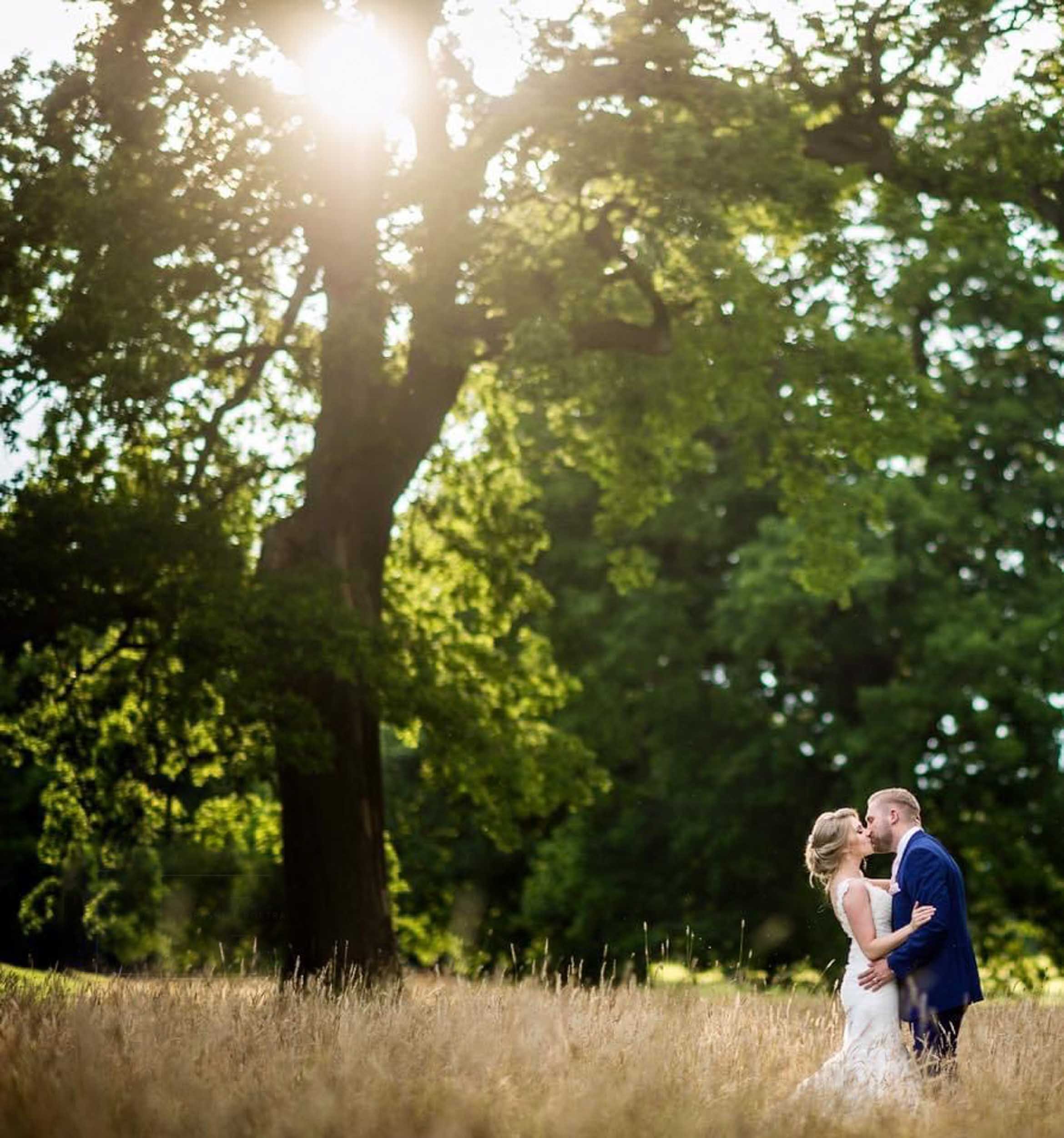 A bride and groom sharing a kiss in a grassy field with a large tree and sunlight filtering through the leaves in the background.