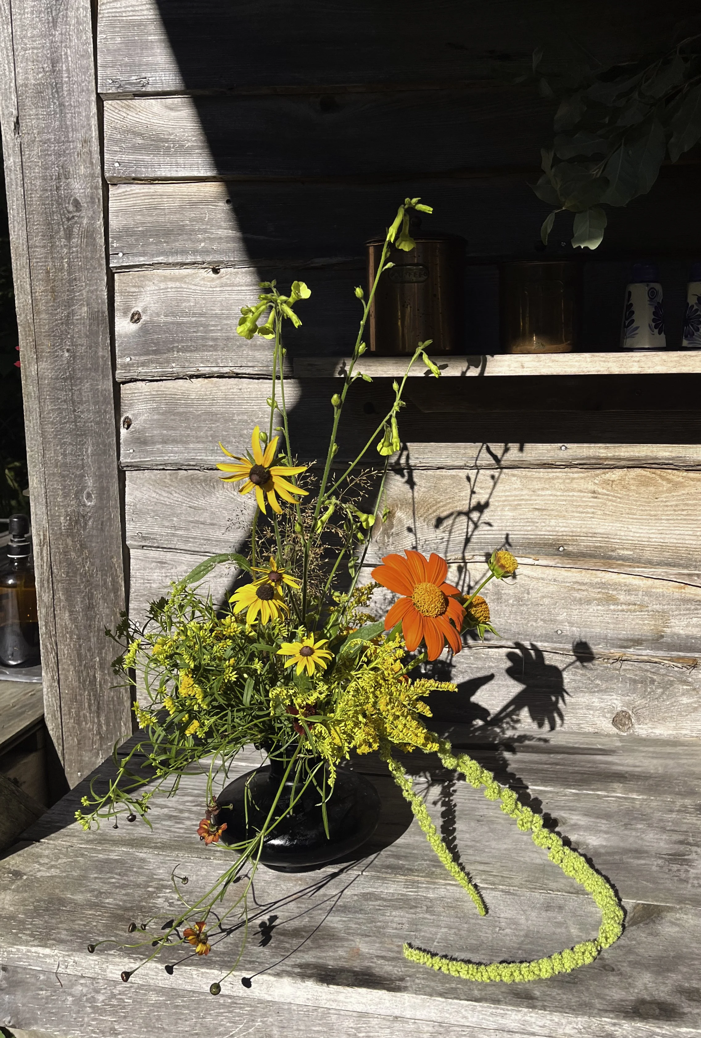 a little design for our artist cabin on our land