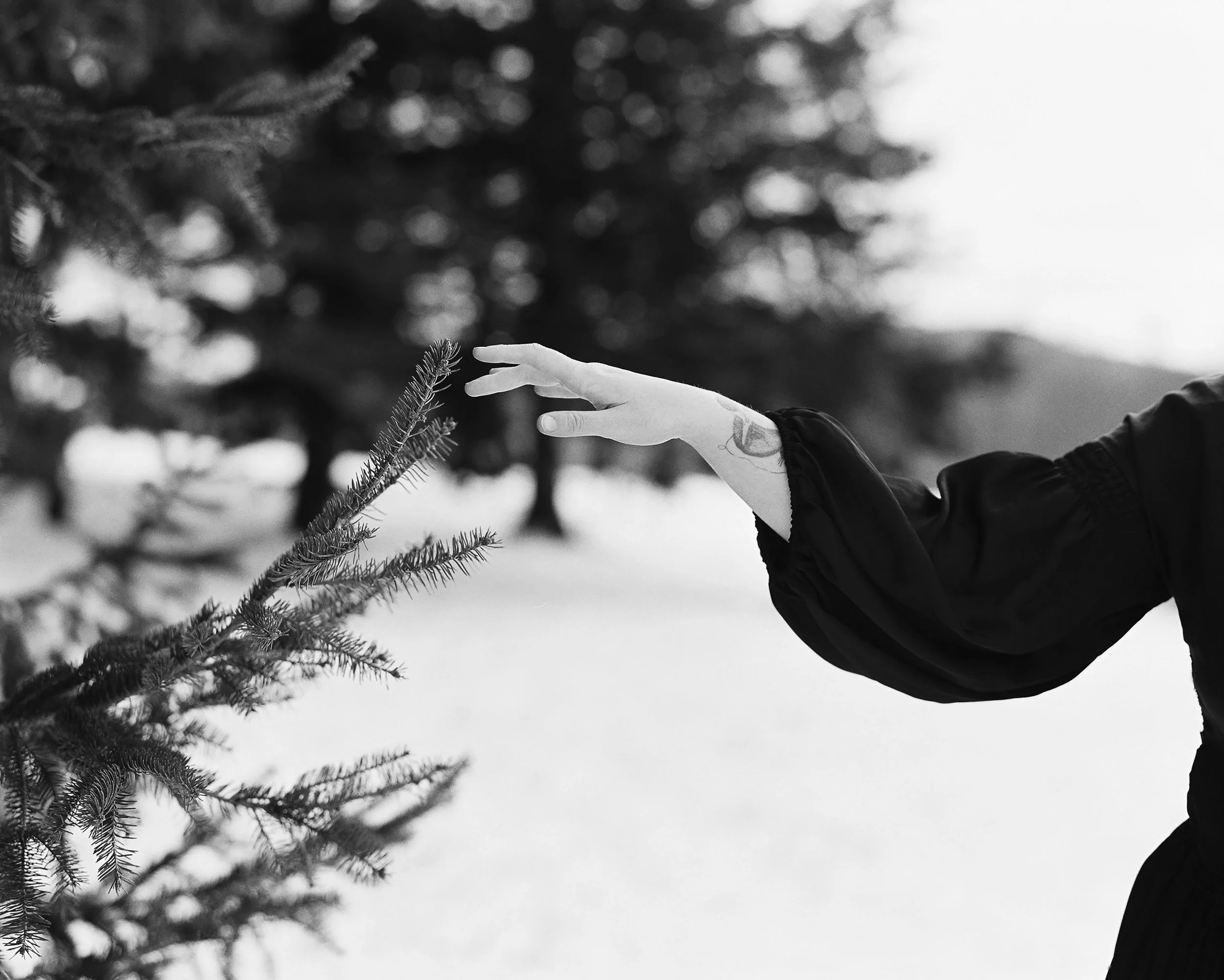 creation of eve for final.jpg