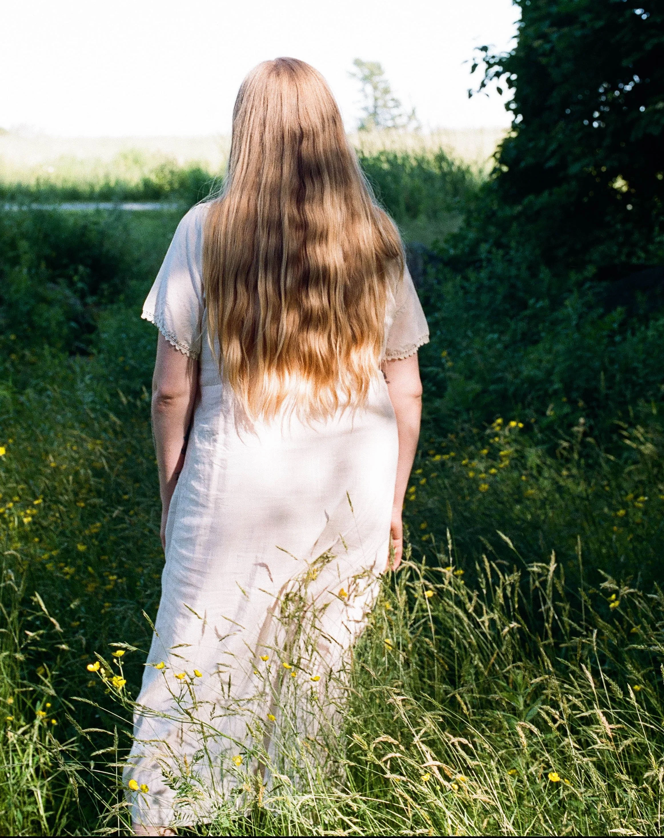 502920020015TPCD crop edit1.jpg