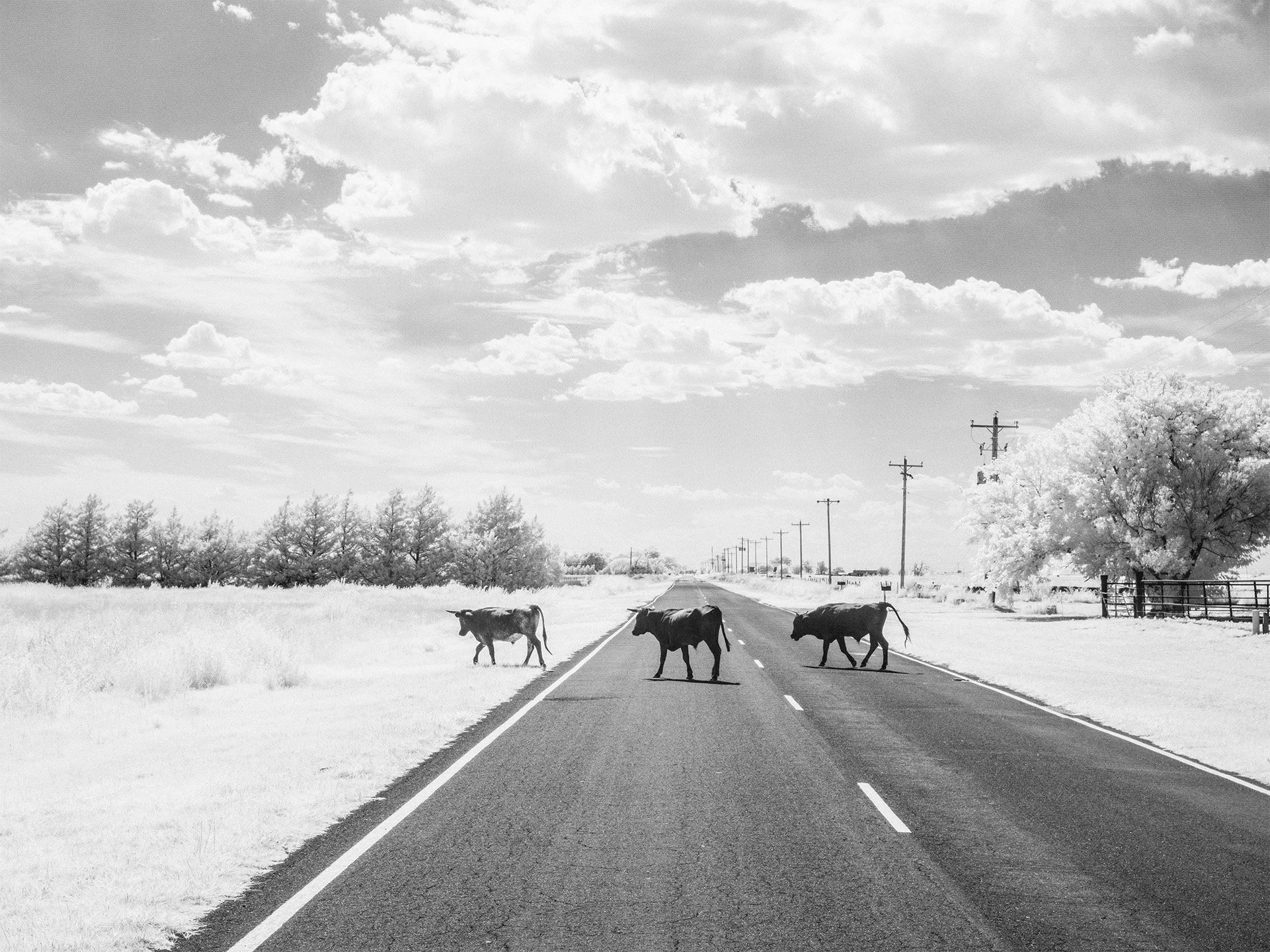 Nomads