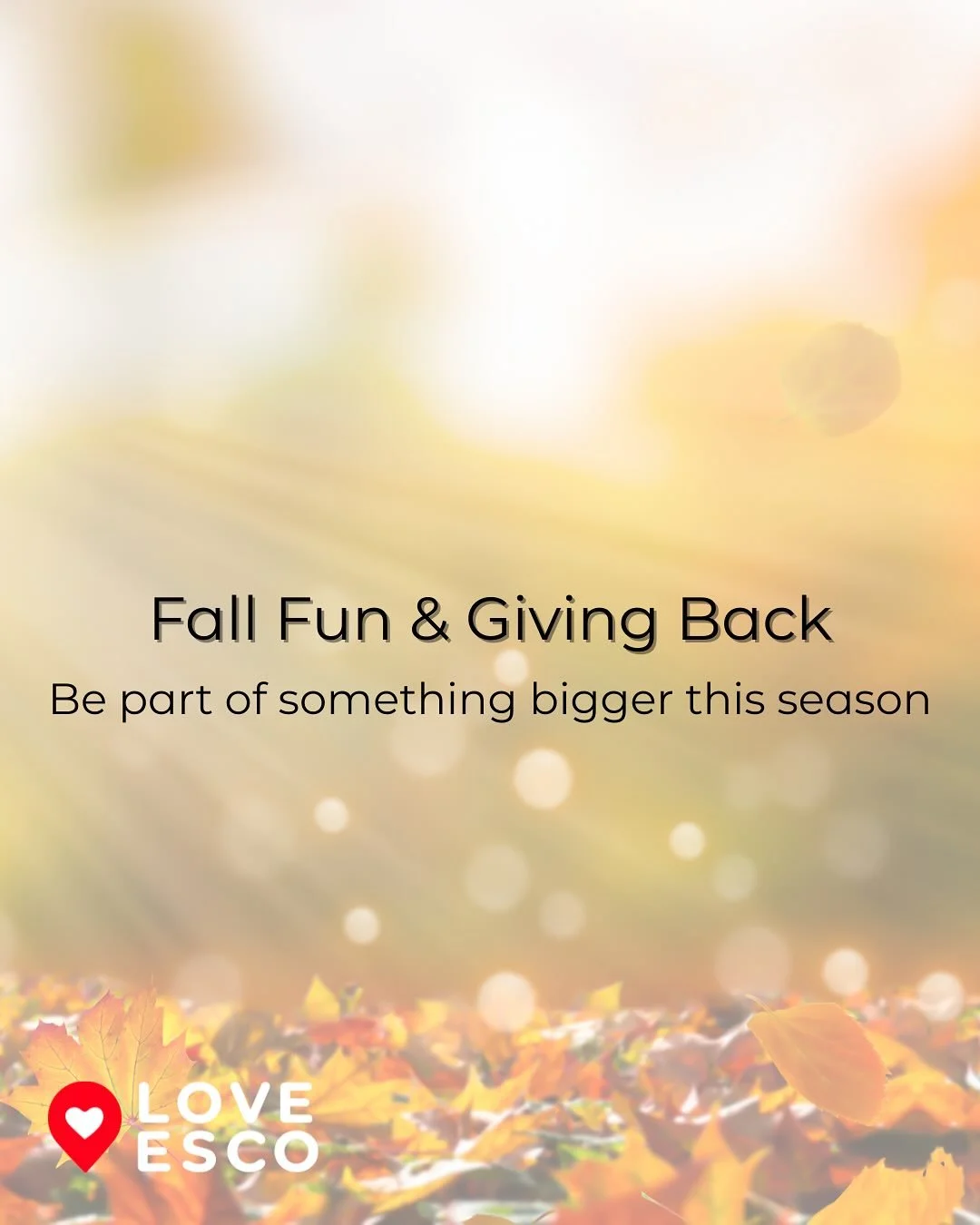 🍂Fall is here—and so are opportunities to make a difference! From pumpkin patches to food drives, this season is all about community, fun, and serving together. 🙌🏽
Whether it’s helping families in need, cheering on kids at the pumpkin