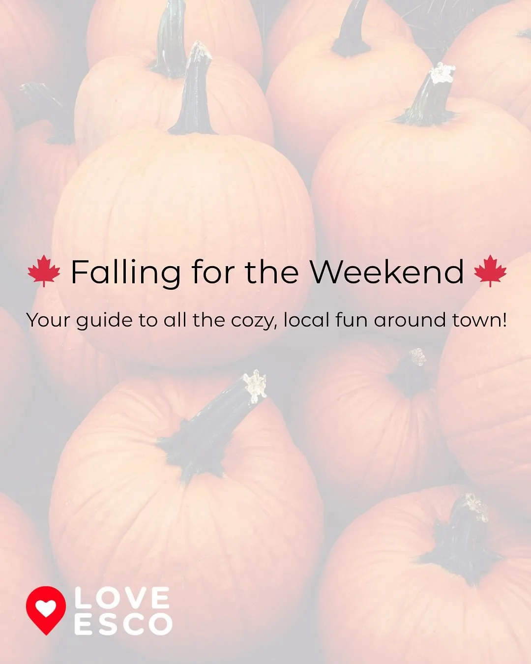 🍂 Falling for the Weekend! From pumpkin patches to outdoor movies and wild adventures — Escondido’s got all the cozy fall vibes covered. 🎃✨ Check out what’s happening this weekend! 👇🏽
🎥 Movie in the Park — Lake Wohlford