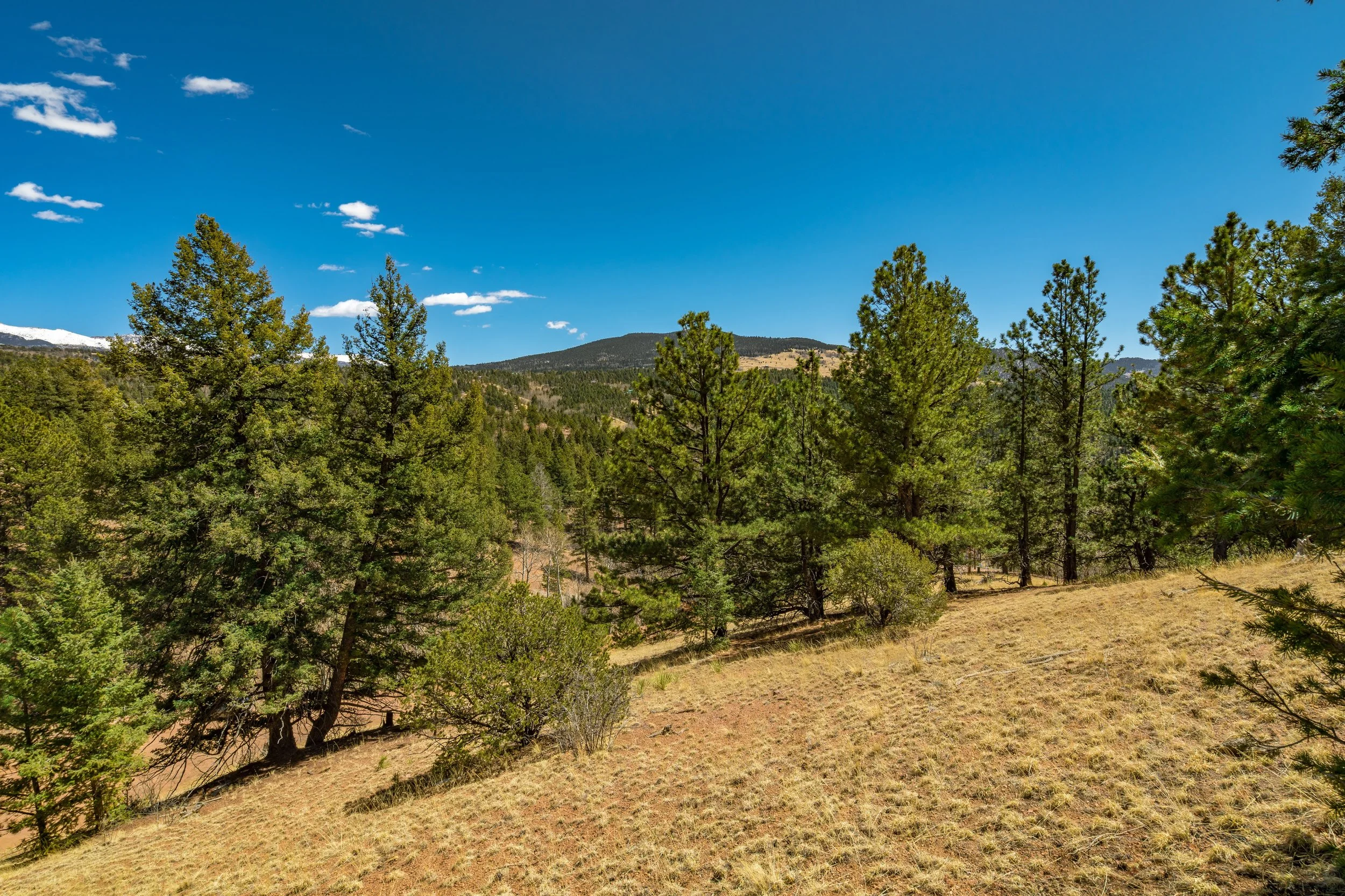 Photos of Vacant Land in Colorado Stepping Stone Land Photos of Vacant Land in Colorado Stepping Stone Land