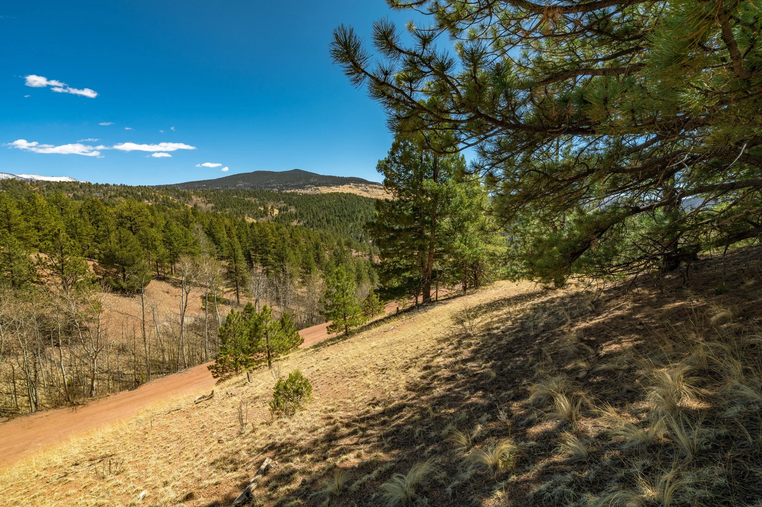 Photos of Vacant Land in Colorado Stepping Stone Land Photos of Vacant Land in Colorado Stepping Stone Land