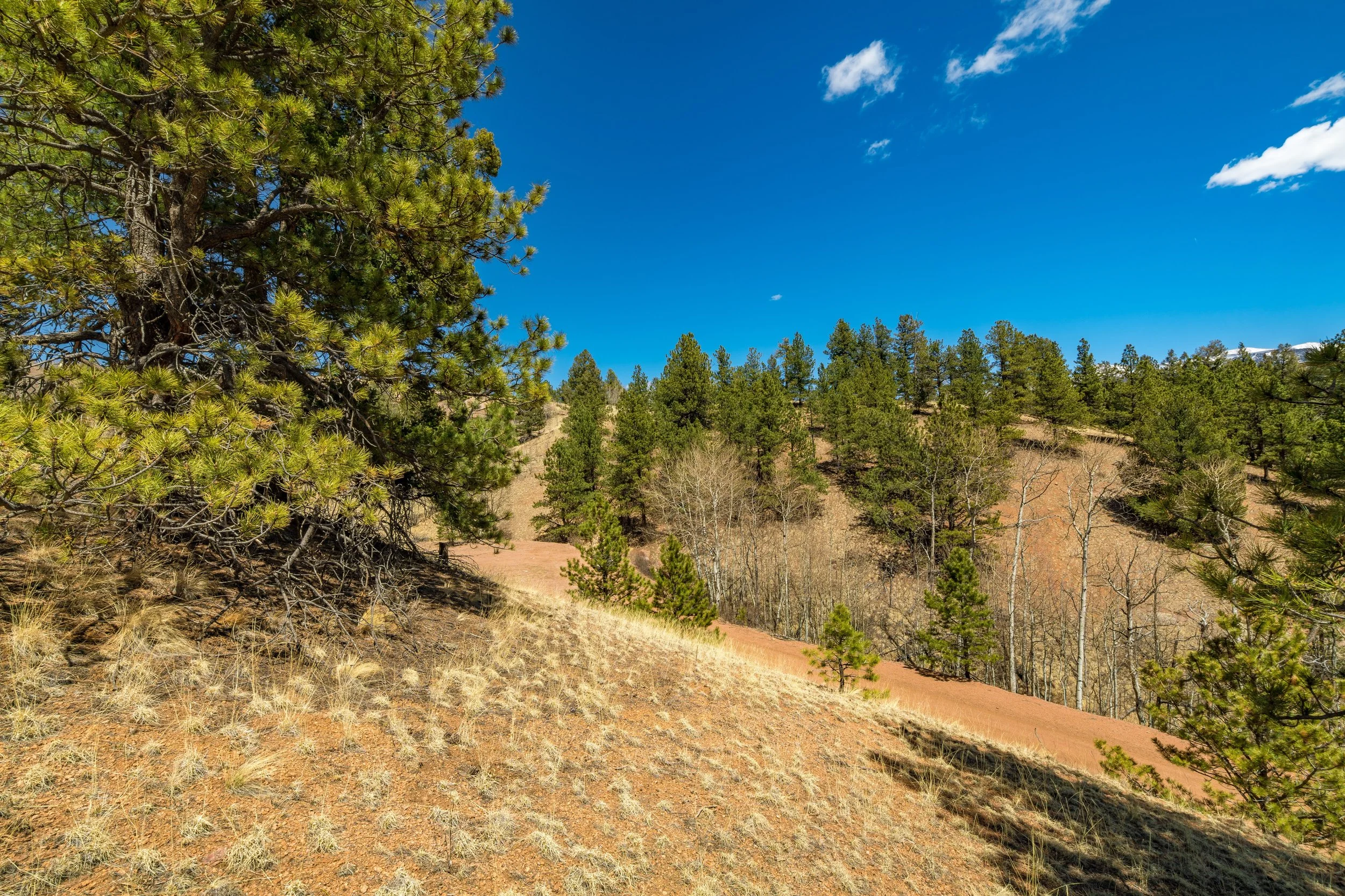 Photos of Vacant Land in Colorado Stepping Stone Land Photos of Vacant Land in Colorado Stepping Stone Land