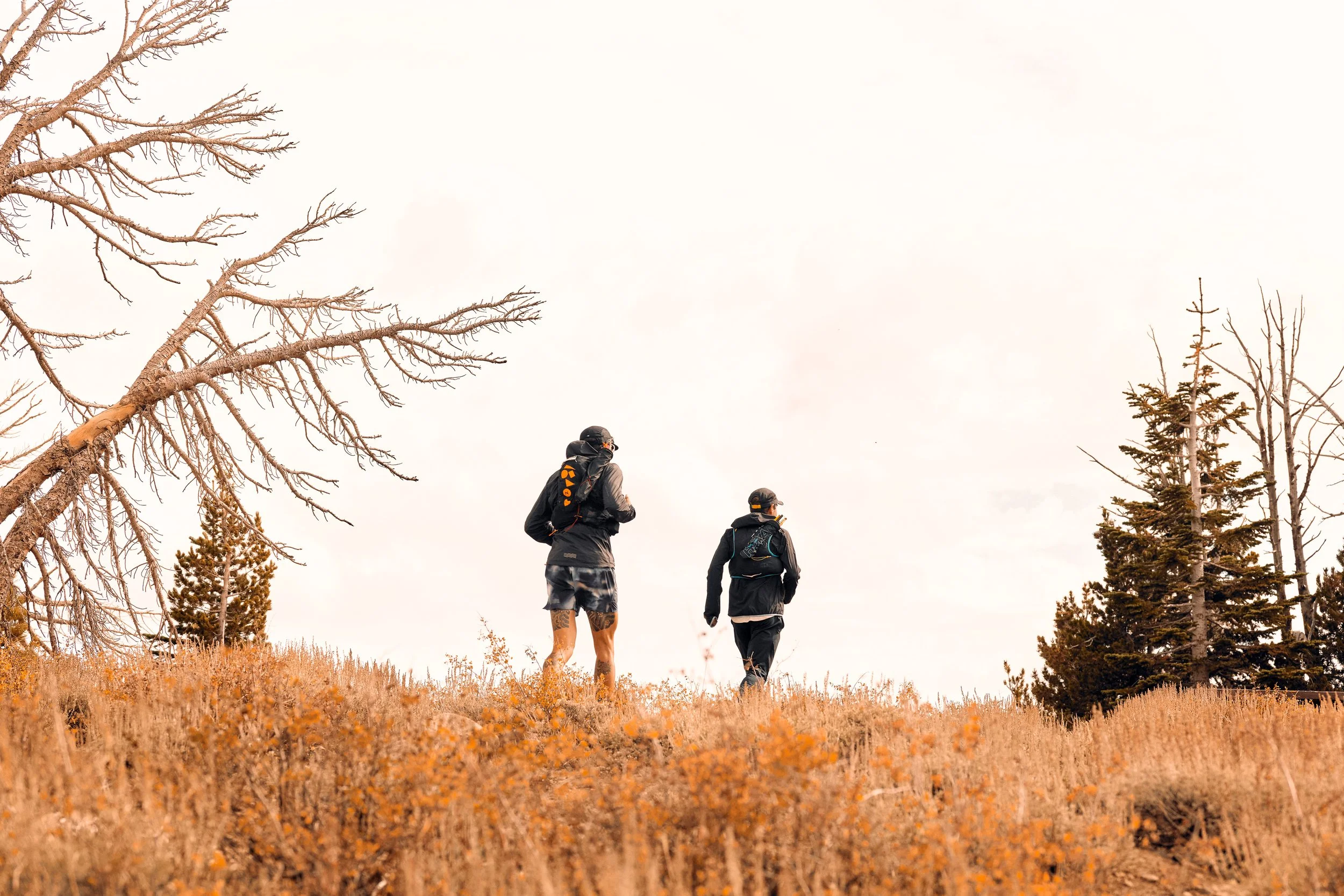 Three people hiking in a wooded area with orange and green foliage, some trees bare, under an overcast sky.