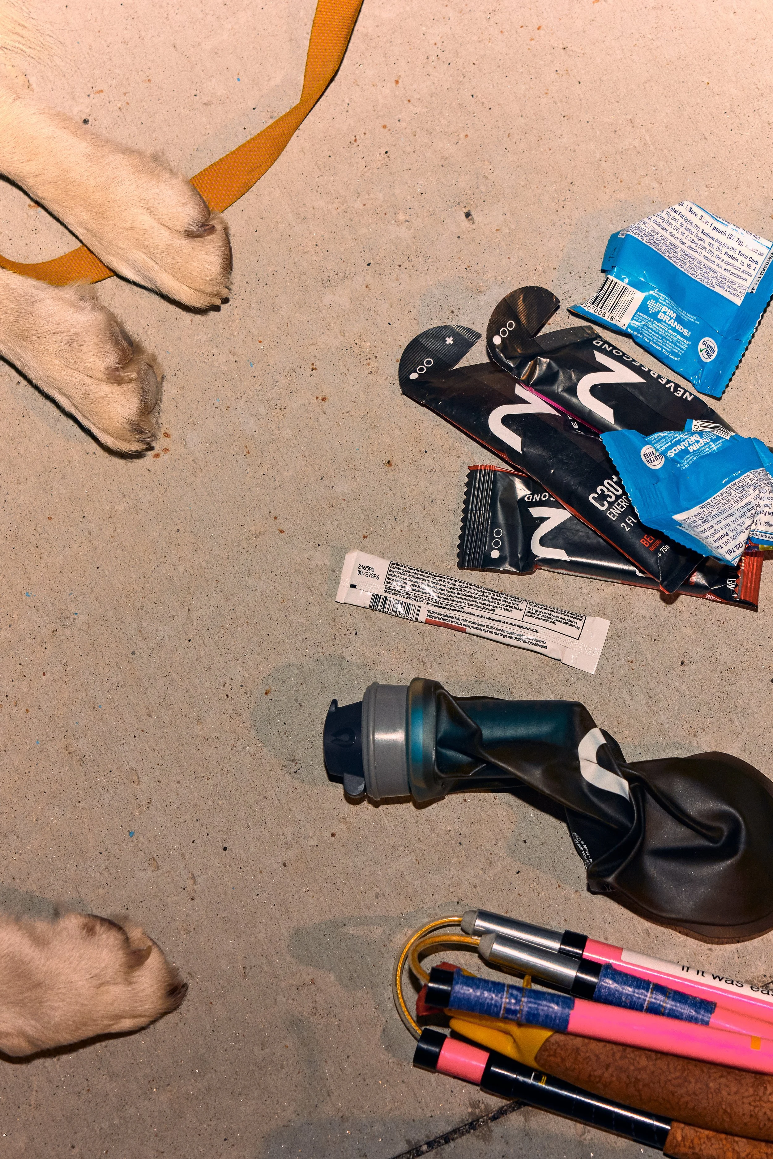 Puppy's paws and various objects on a concrete floor, including snack wrappers, pens, a water bottle, and other miscellaneous items.