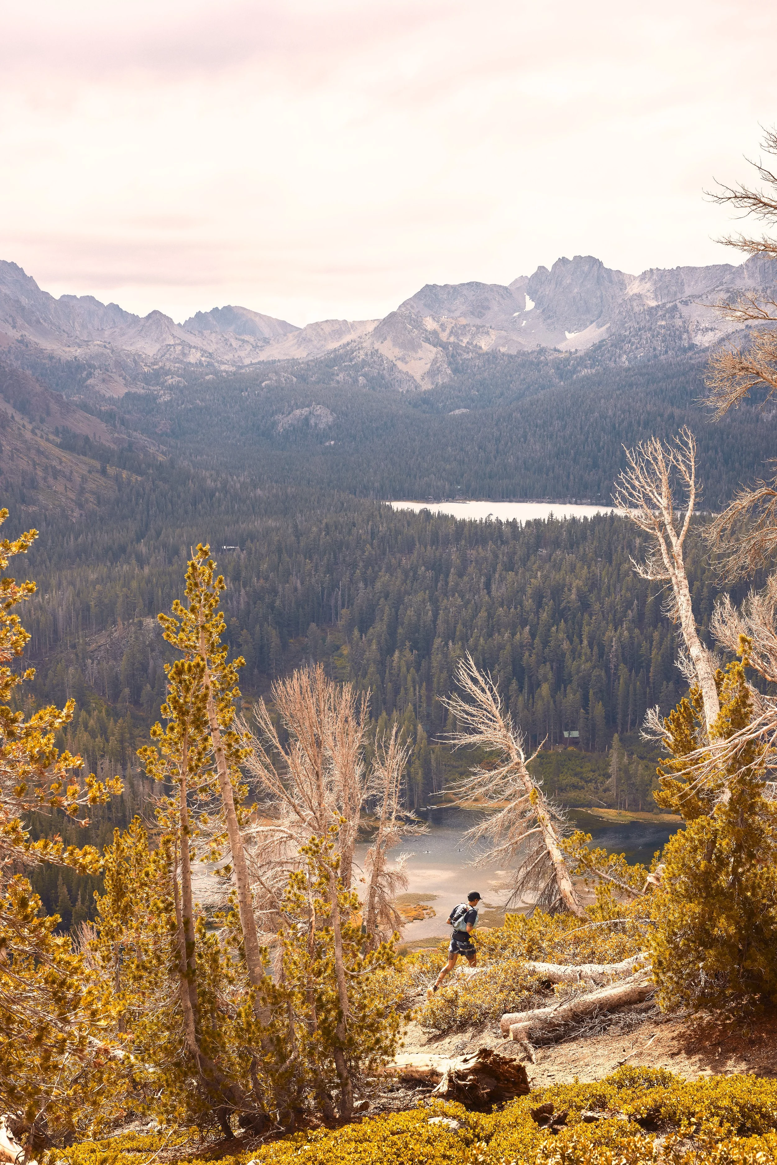 Hiker walking through a forest with mountains and a lake in the background