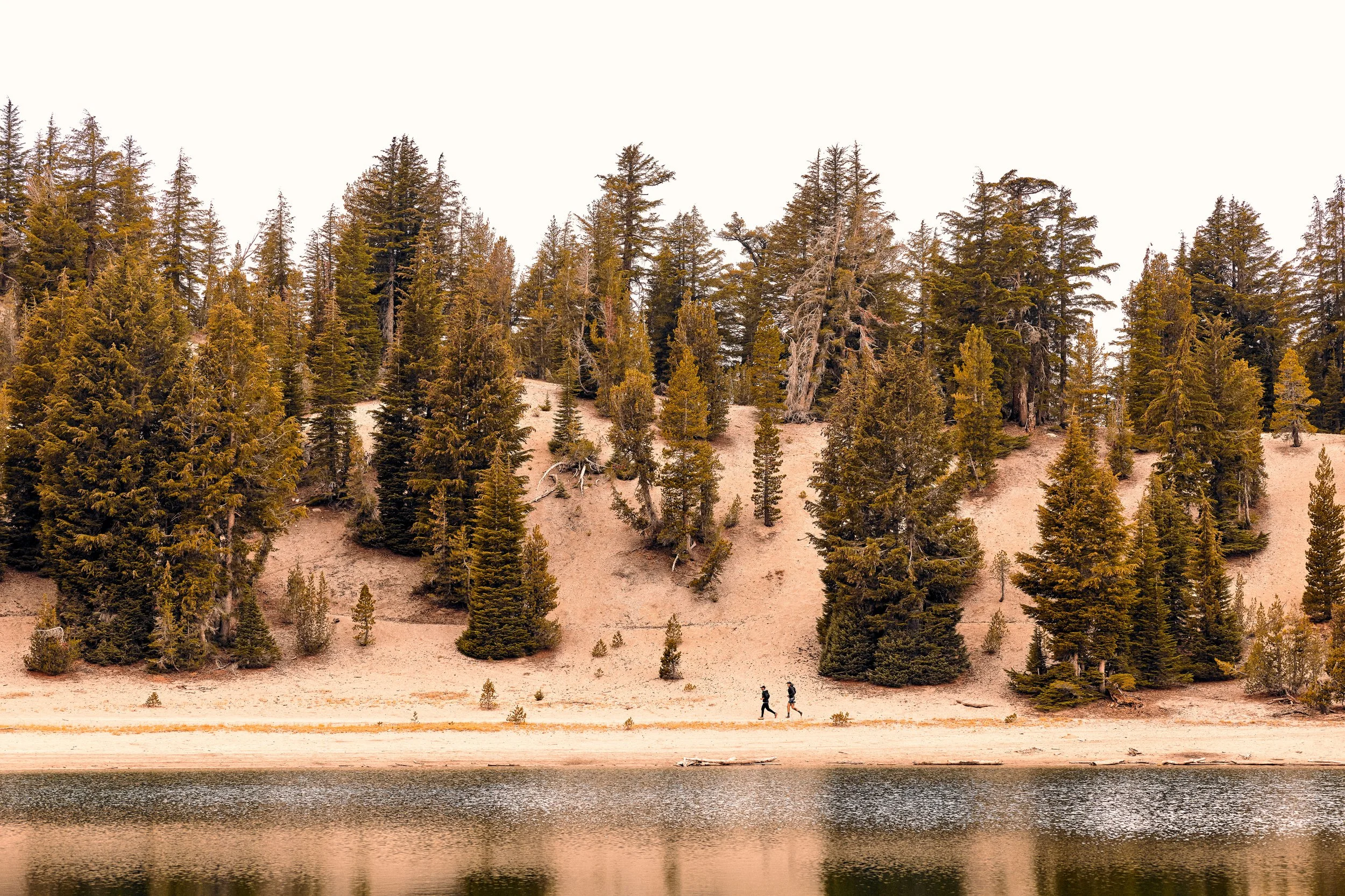 Two people hiking along a sandy path beside a lake with a forested hillside and tall trees in the background.