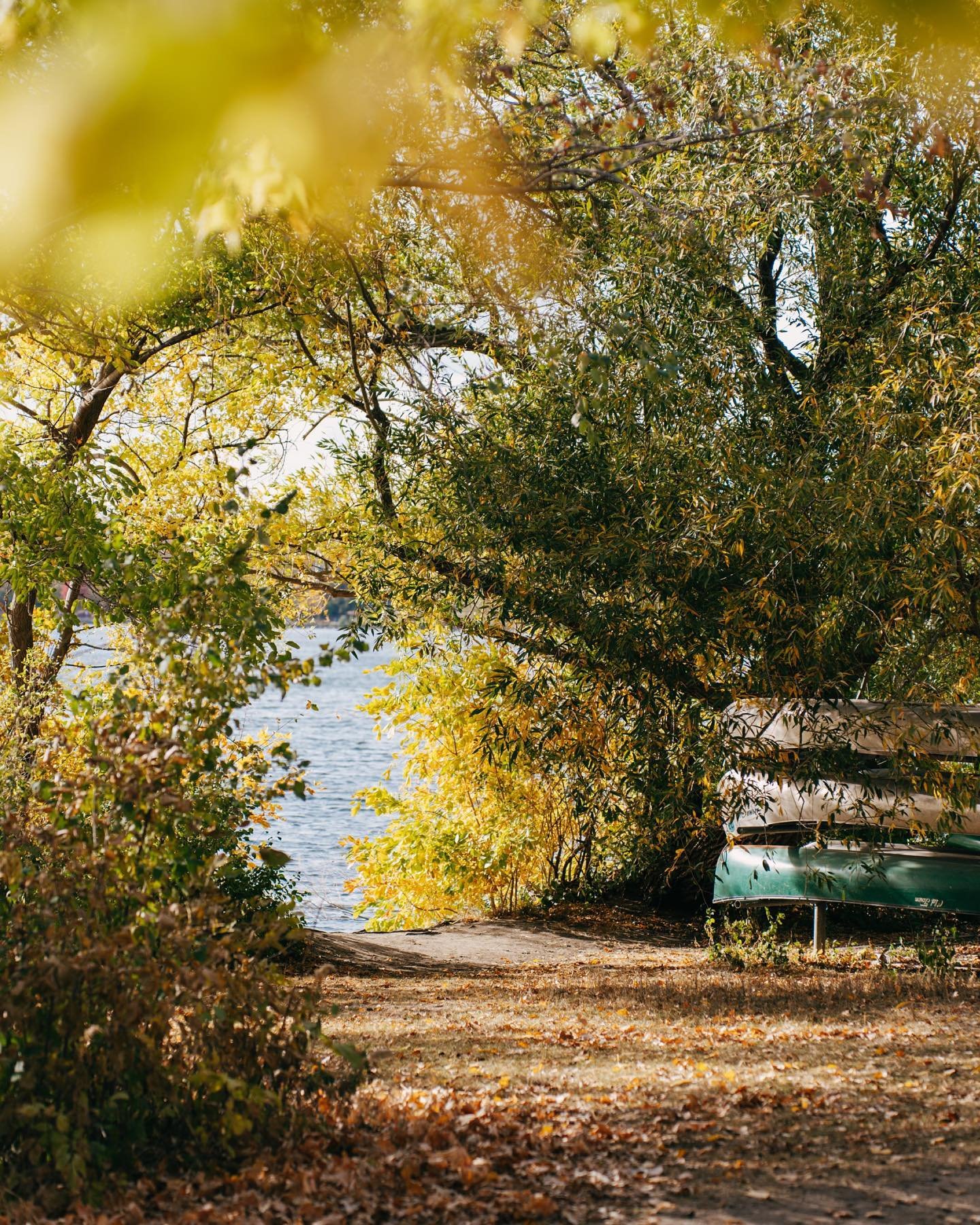 it&rsquo;s autumn, innit?