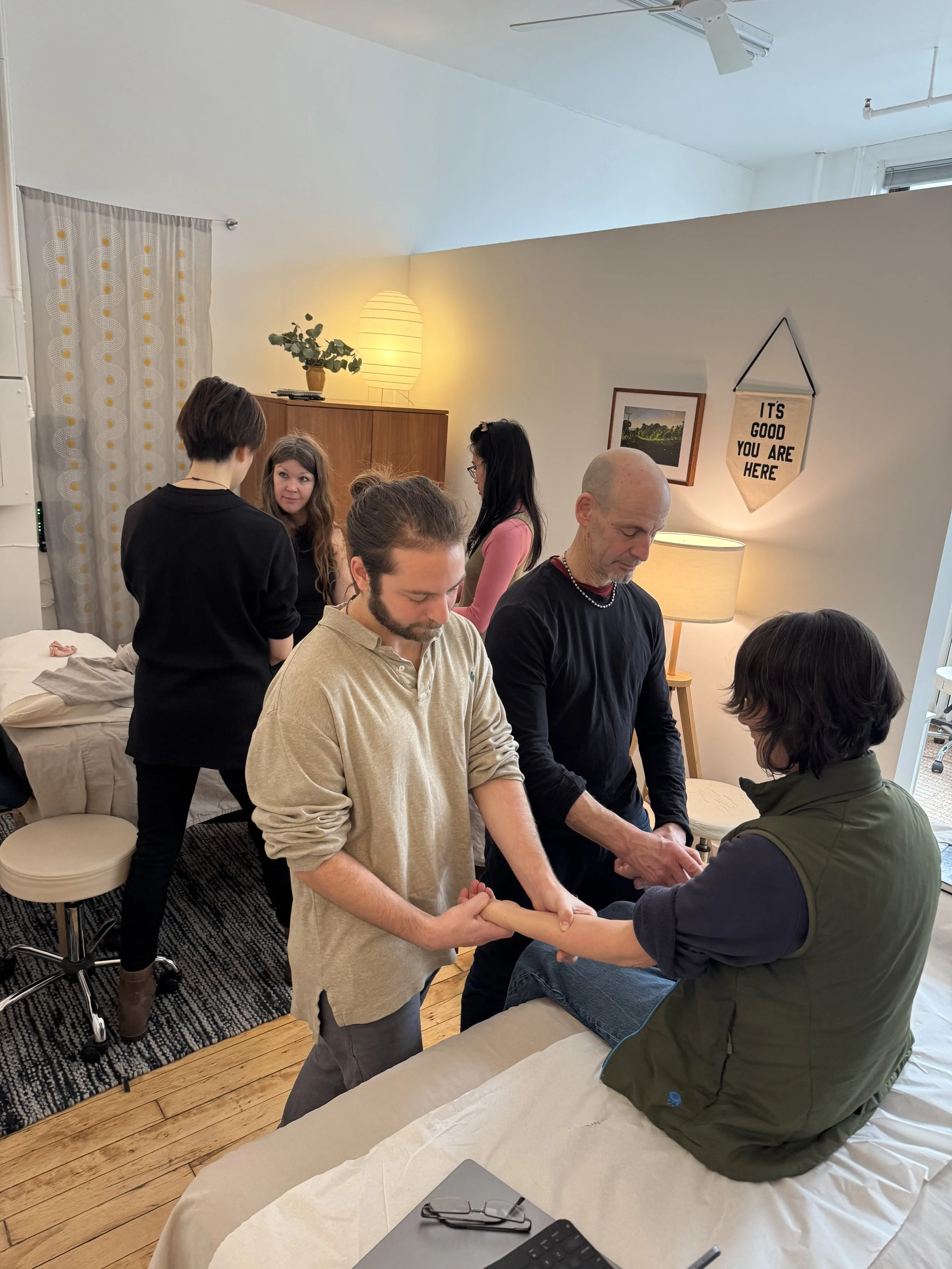 ACT Level 1: An Introduction to Channel Physiology and Palpation