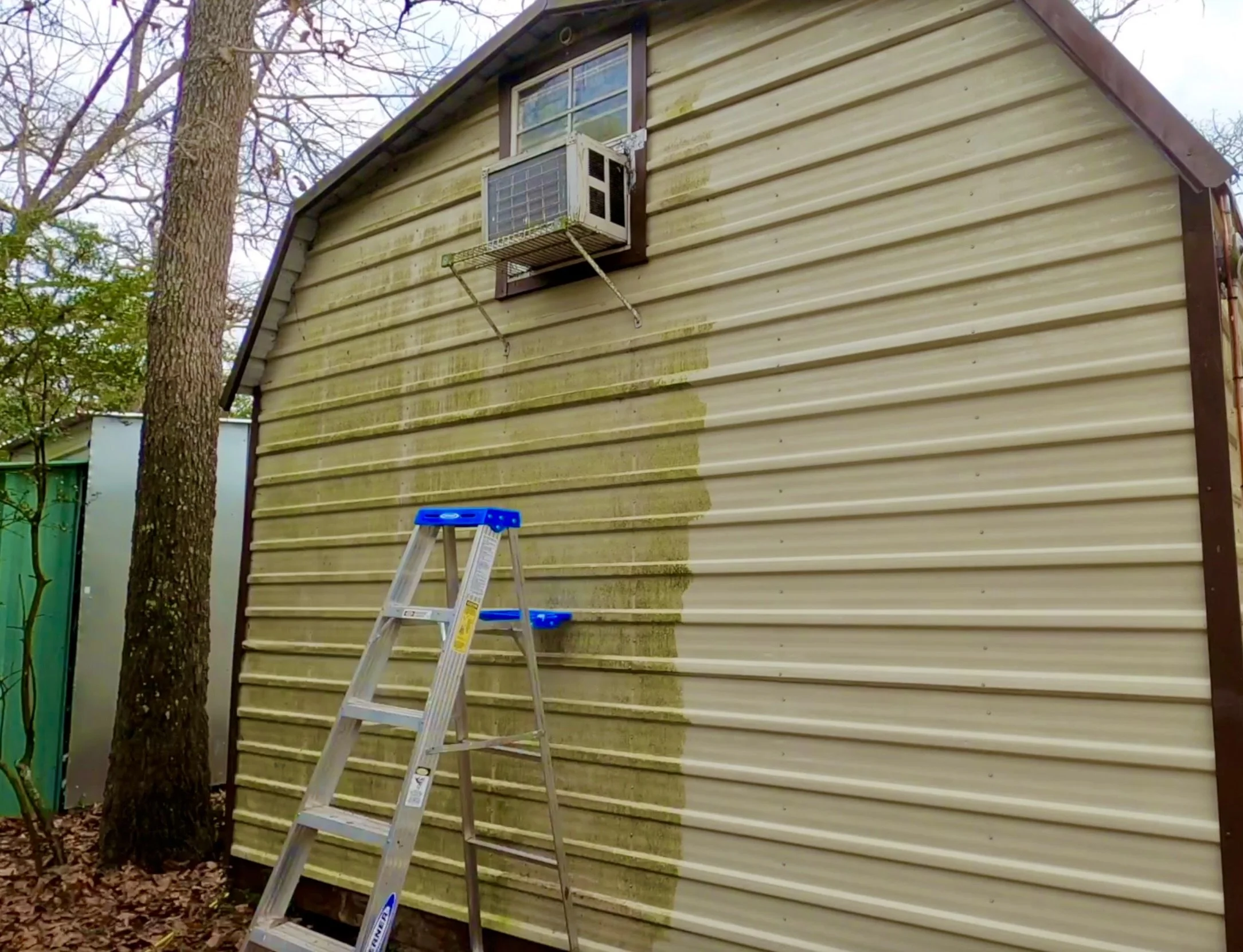 Screen Shot 2022-03-21 at 5.03.09 AM.jpeg