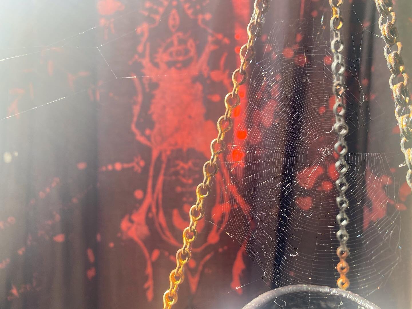 &ldquo;I spider, the weaver.
The water that flows.
The creator of my own destiny, 
By choice.
Letting go of my own limitations,
Stepping into my call.
I REMEMBER. I AM
In gratitude for all I have &amp; I&rsquo;ve lost.
Cause nothing is gone, 
but add