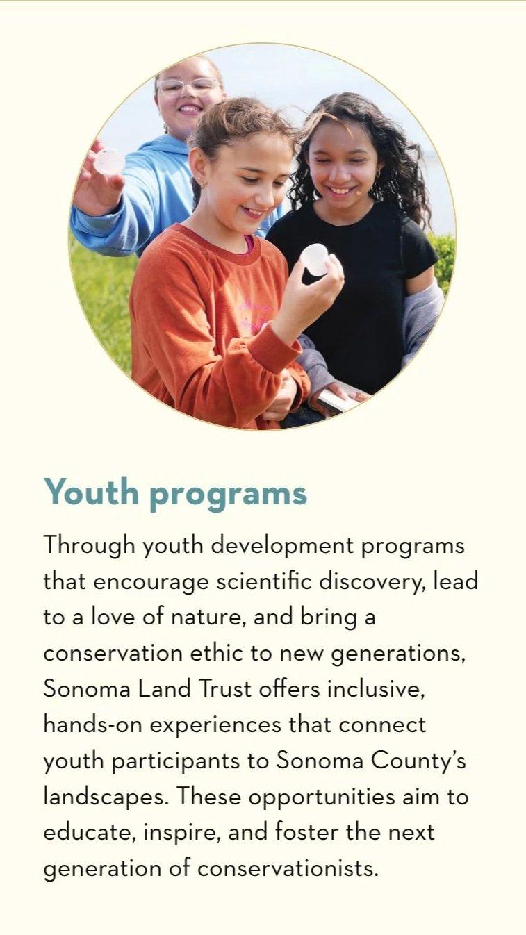 SLT+youth+programs.jpg
