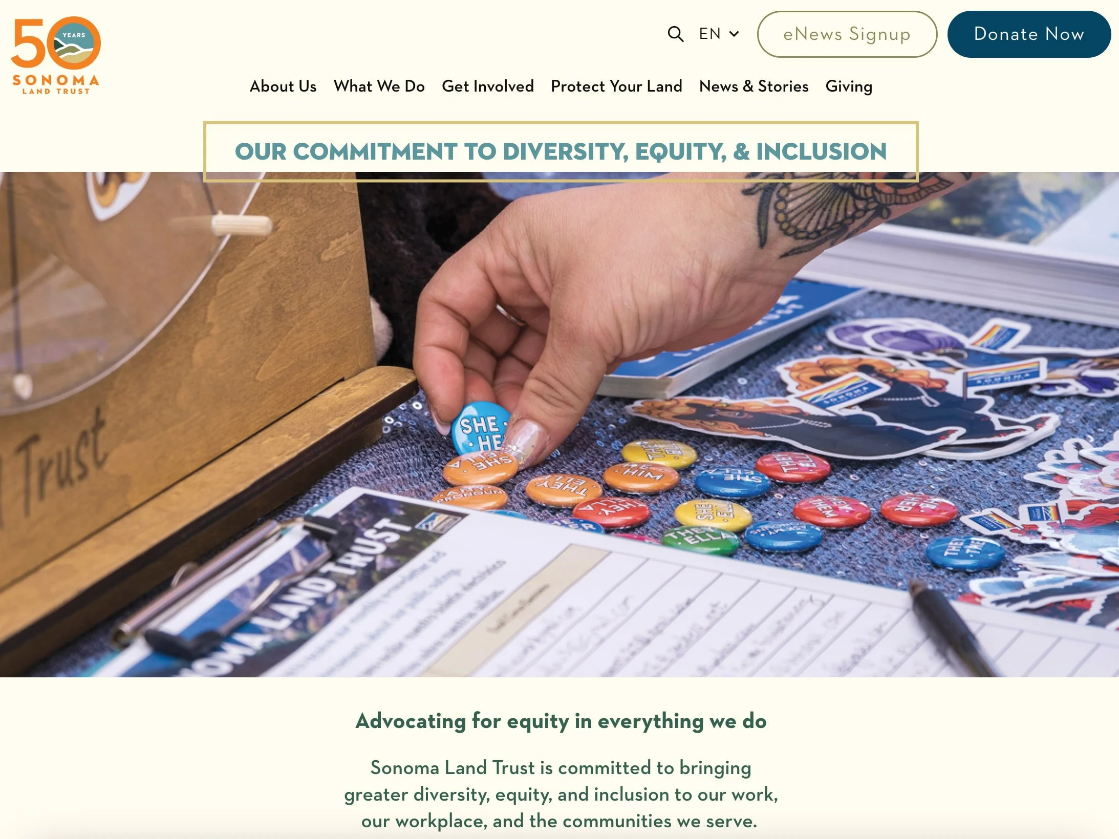 SLT commitment to dei.jpg