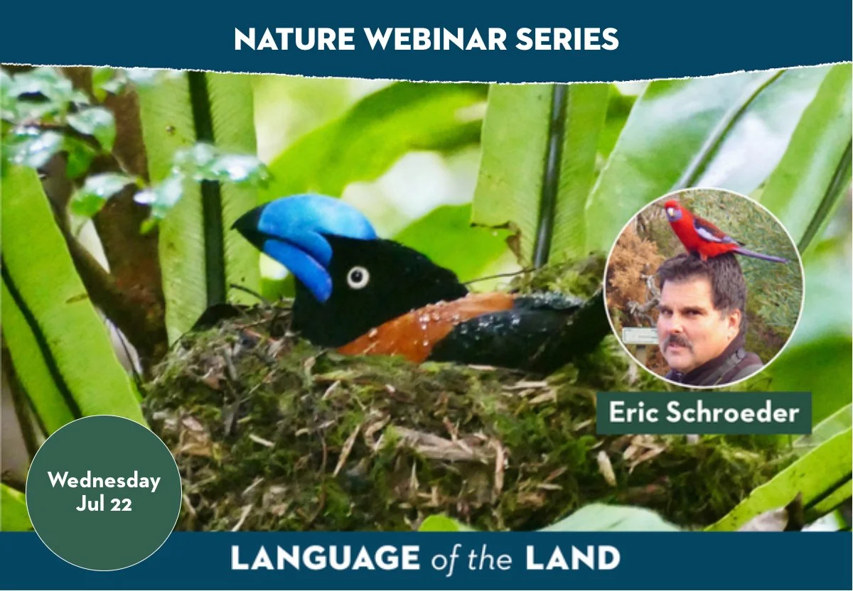 SLT nature webinar series.jpg