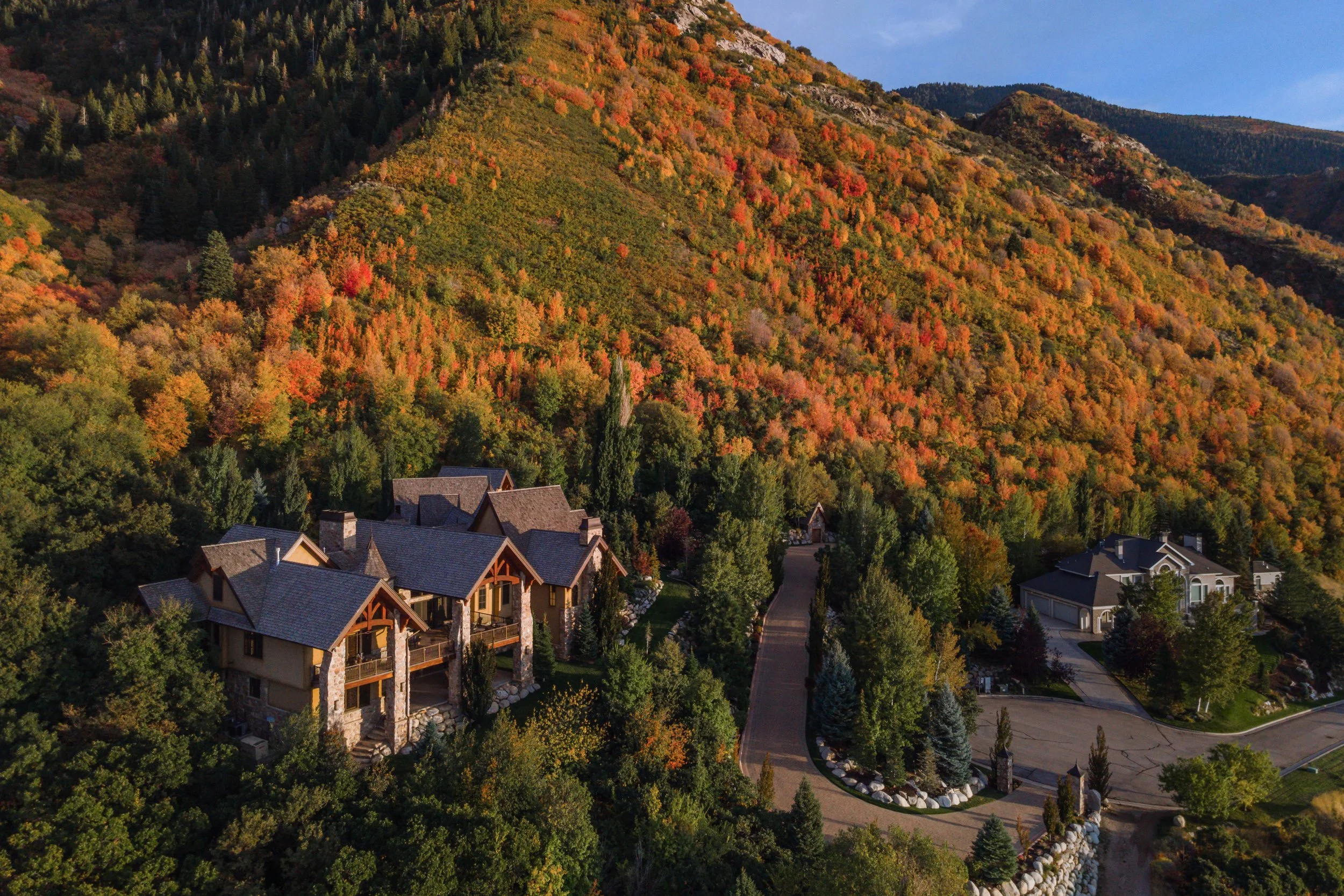 NEW DRONE PIC-1.jpg