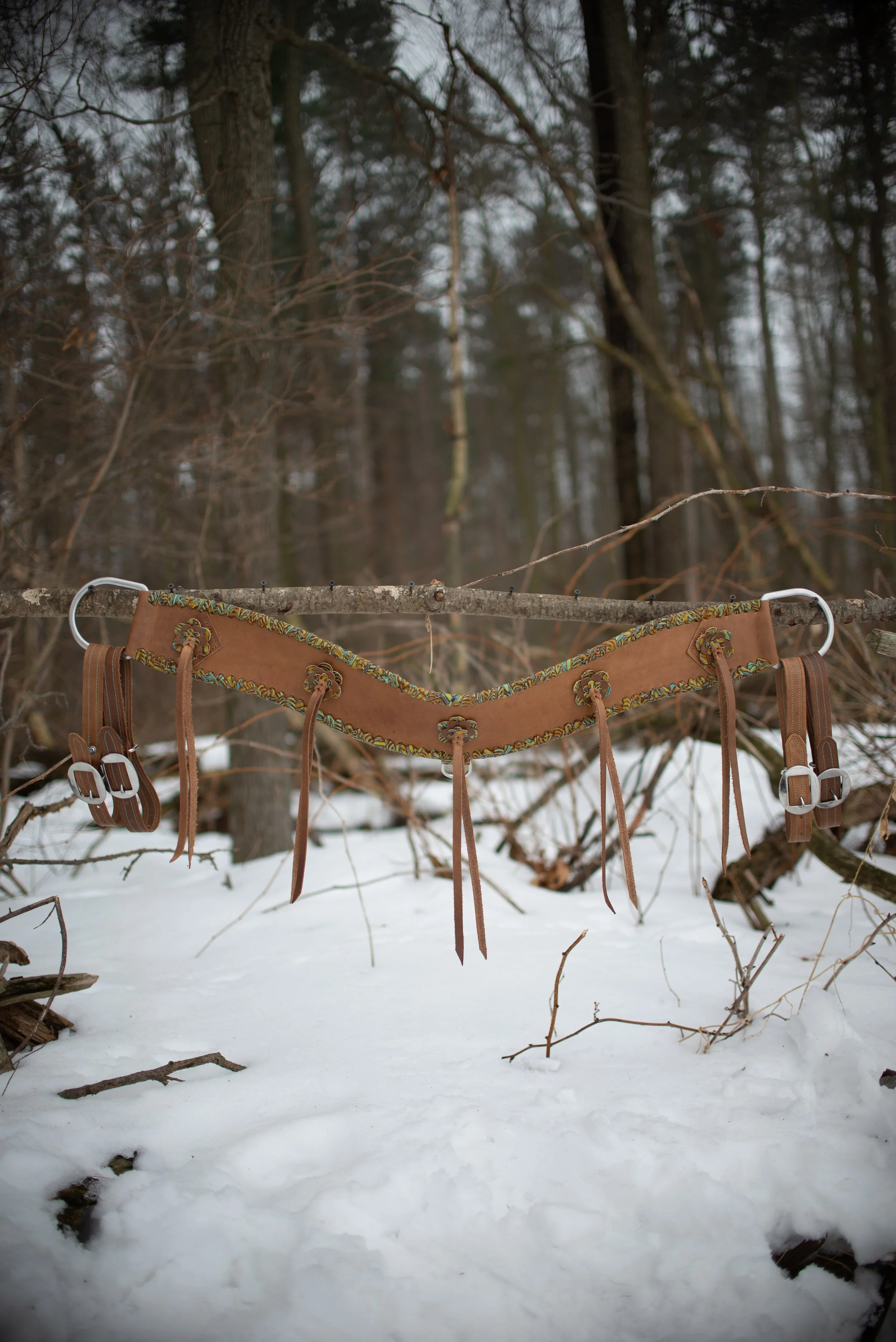 CHISHOLM TRAIL-2-2.jpg