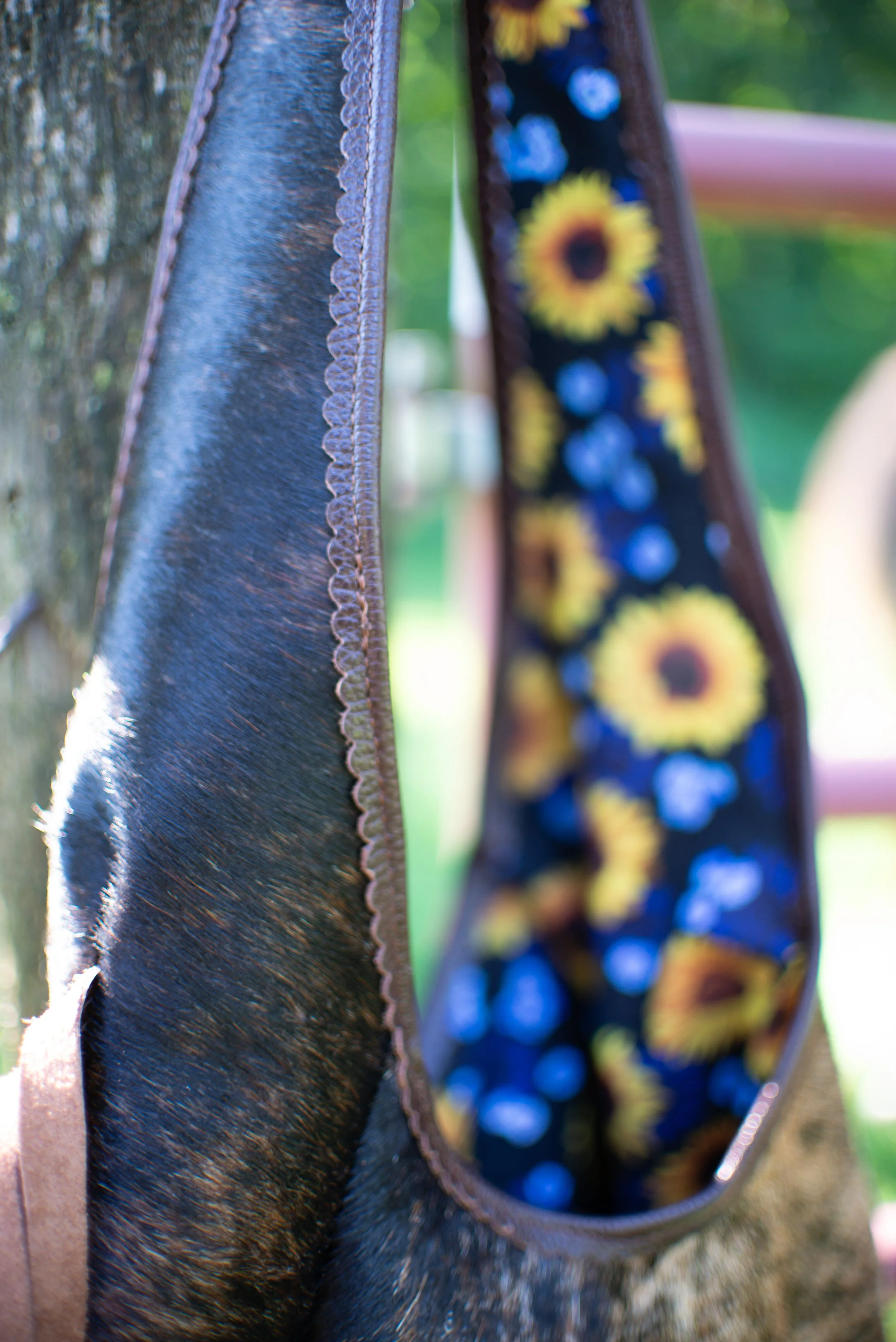 Bluebell-9.jpg